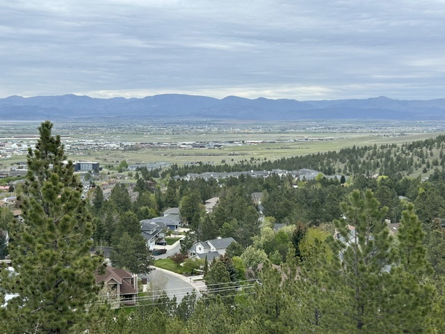 2511 Gold Rush Avenue Property Photo 3