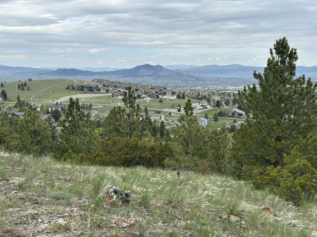 2511 Gold Rush Avenue Property Photo 6