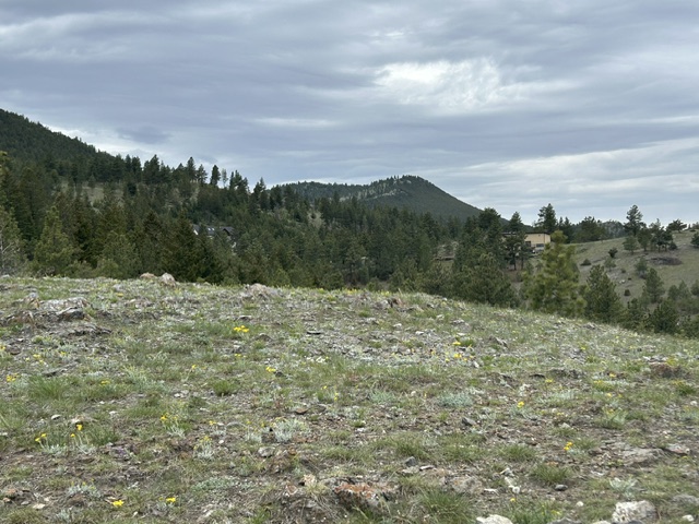 2511 Gold Rush Avenue Property Photo 9