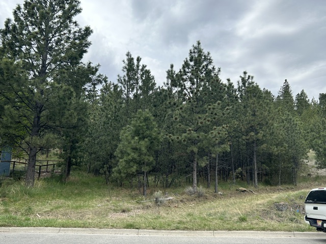 2511 Gold Rush Avenue Property Photo 13