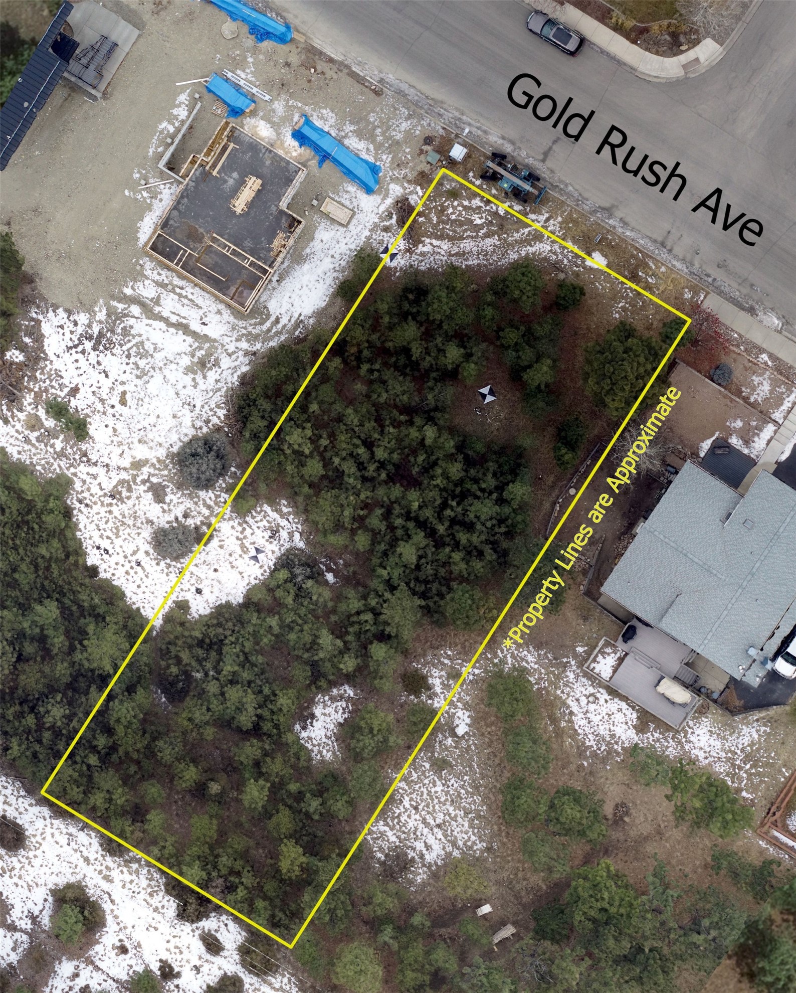 2511 Gold Rush Avenue Property Photo 14