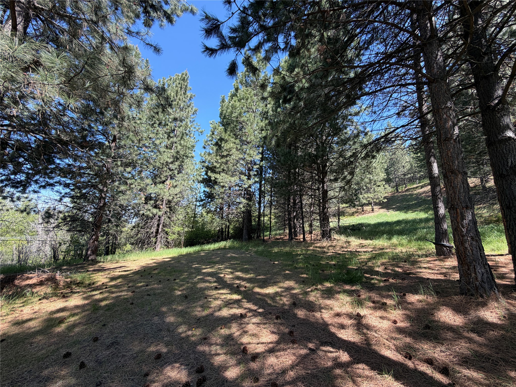 Tbd Mt Highway 35 Property Photo 13