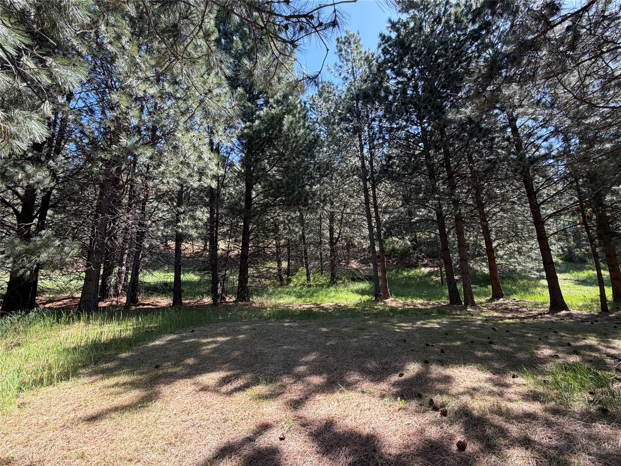 Tbd Mt Highway 35 Property Photo 16
