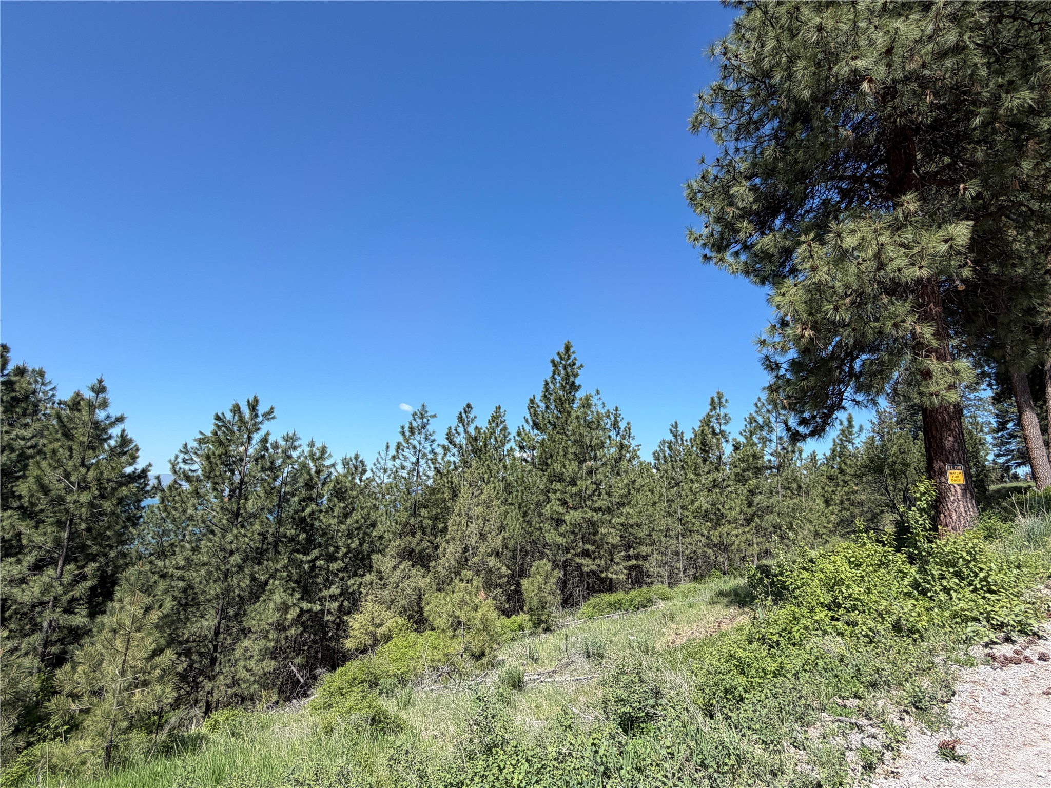 Tbd Mt Highway 35 Property Photo 19