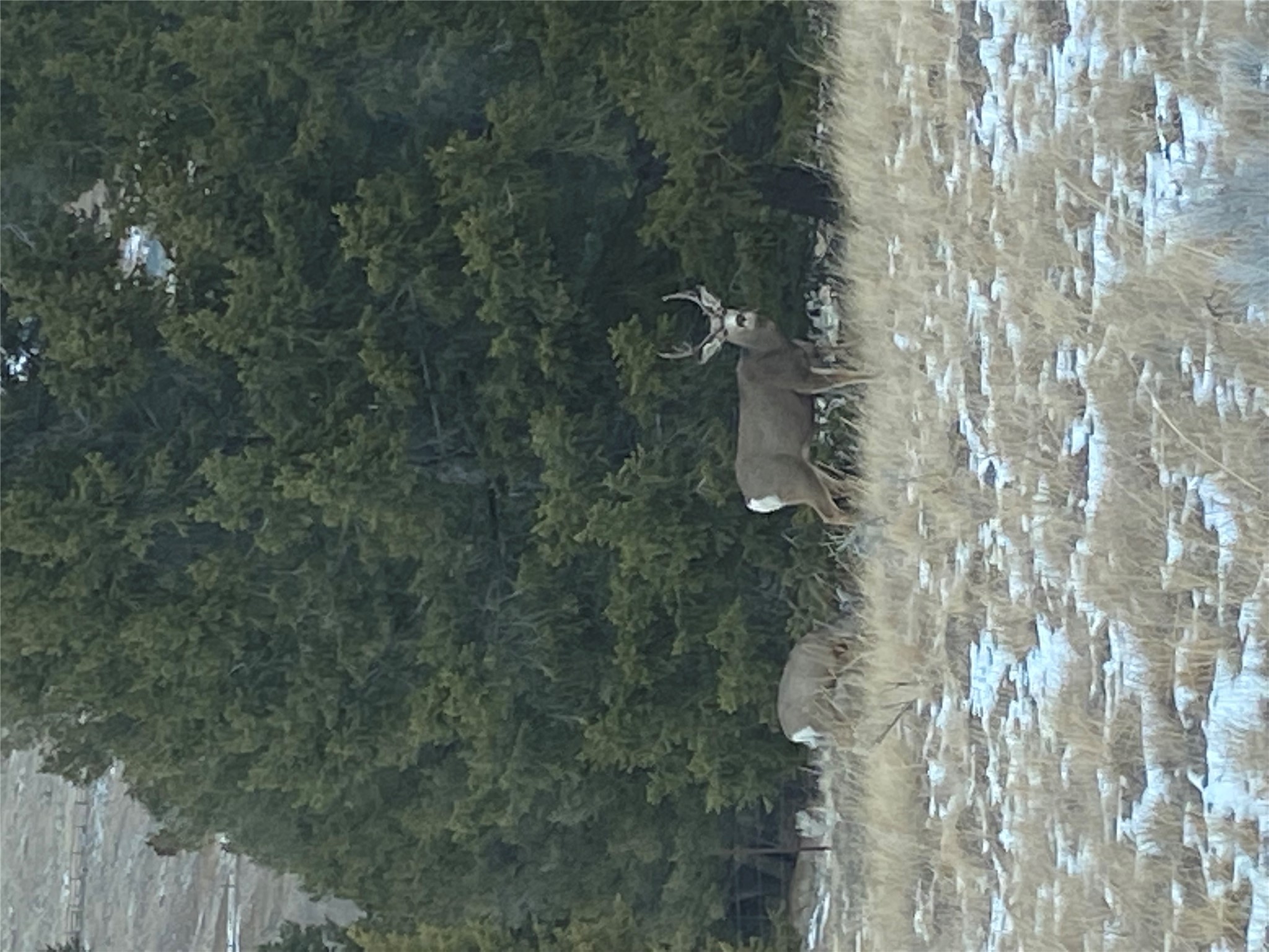 884 Wapiti Mountain Road Property Photo 49