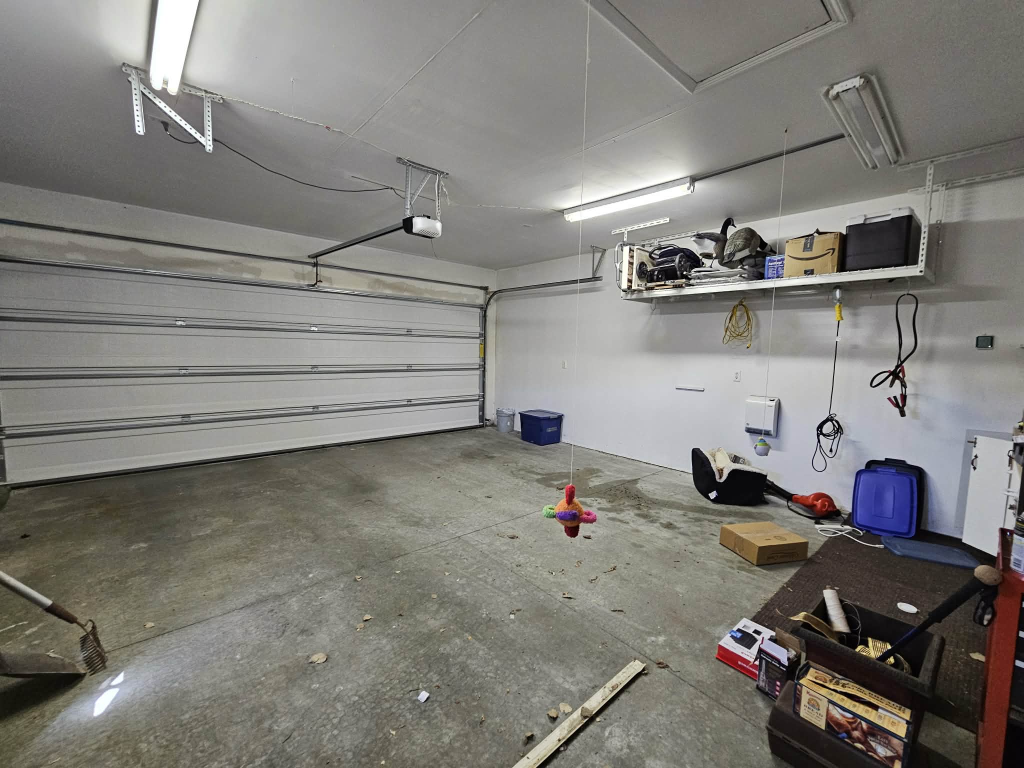 116 Alberta Court Property Photo 18