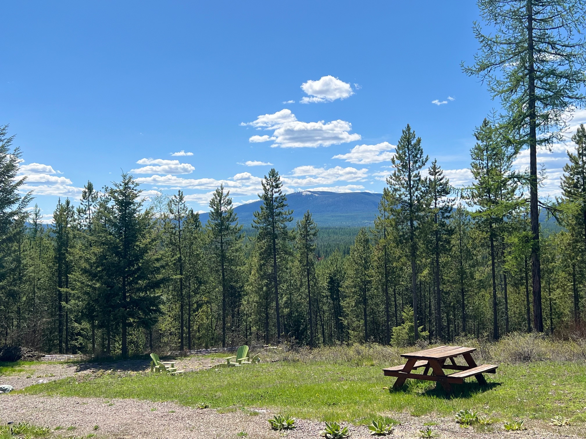 1810 Lupfer Loop Road Property Photo 4