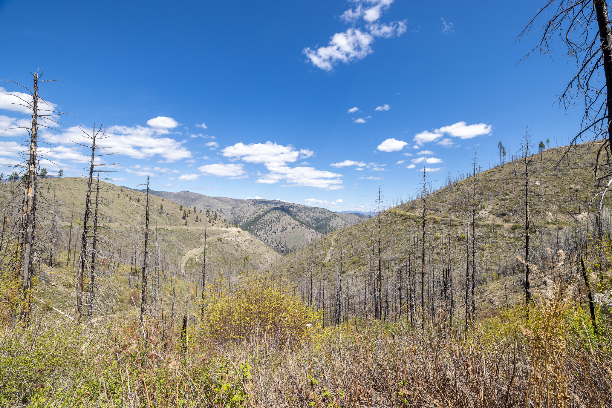30070731 Property Photo 11