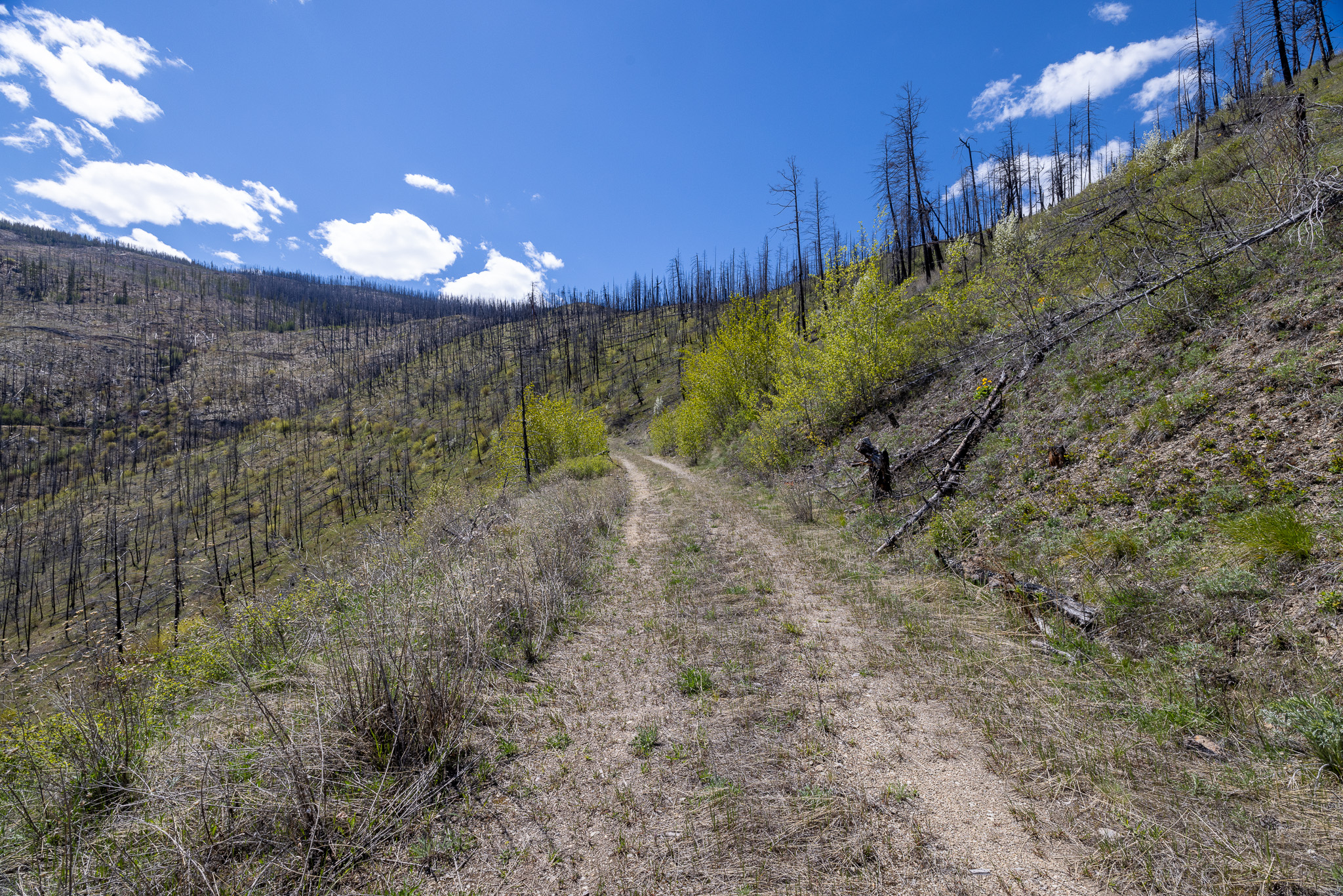 30070731 Property Photo 15