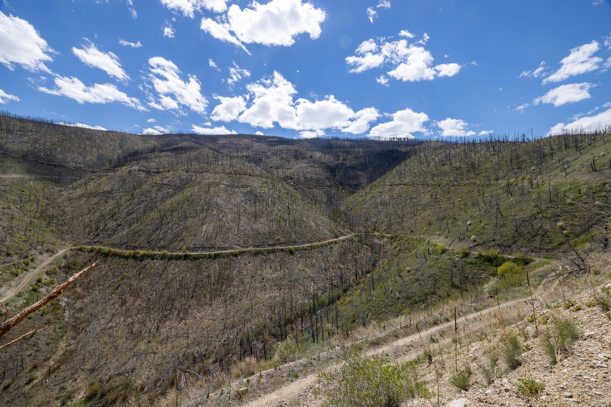 30070731 Property Photo 16