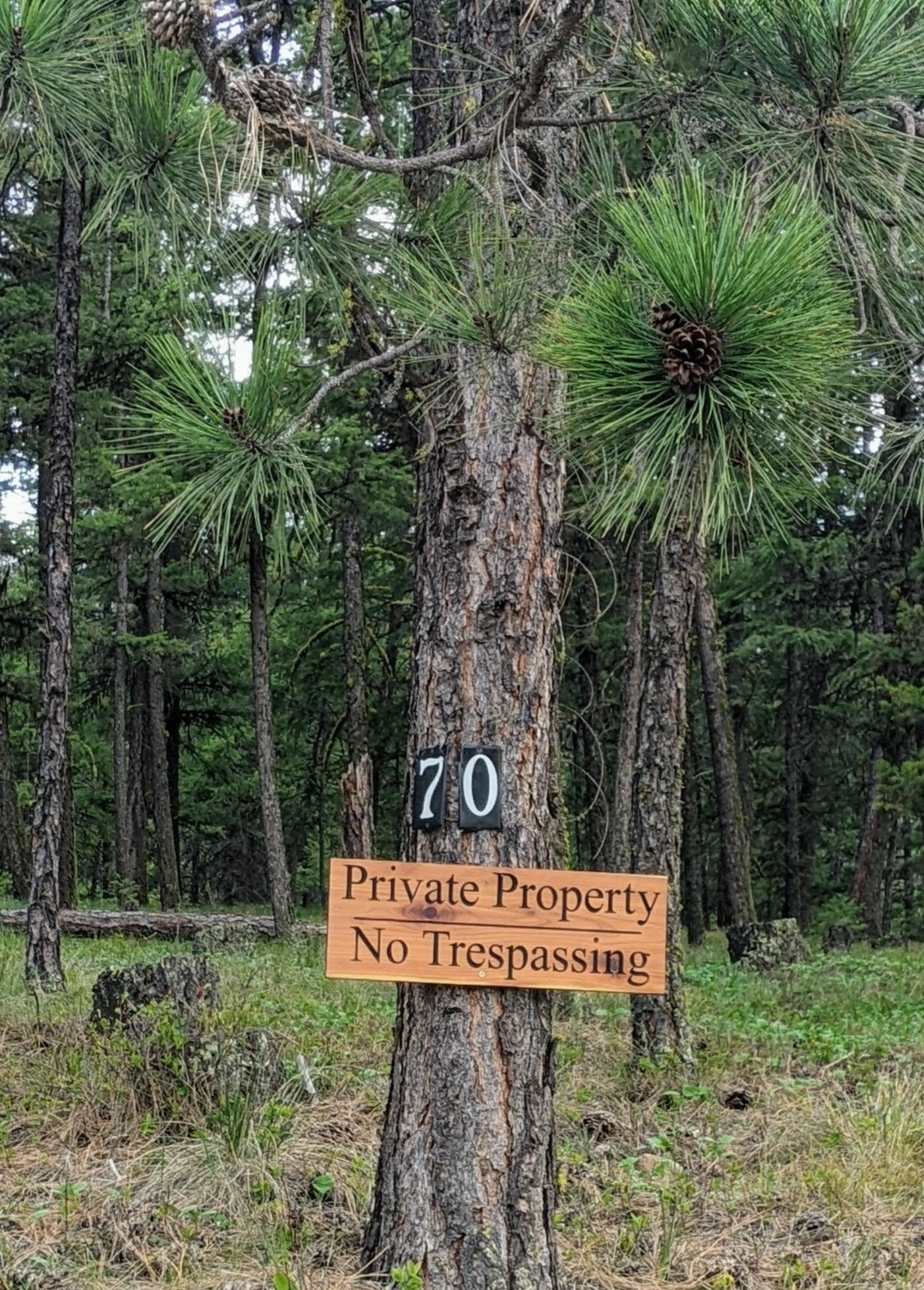70 Mountain Road Property Photo 10