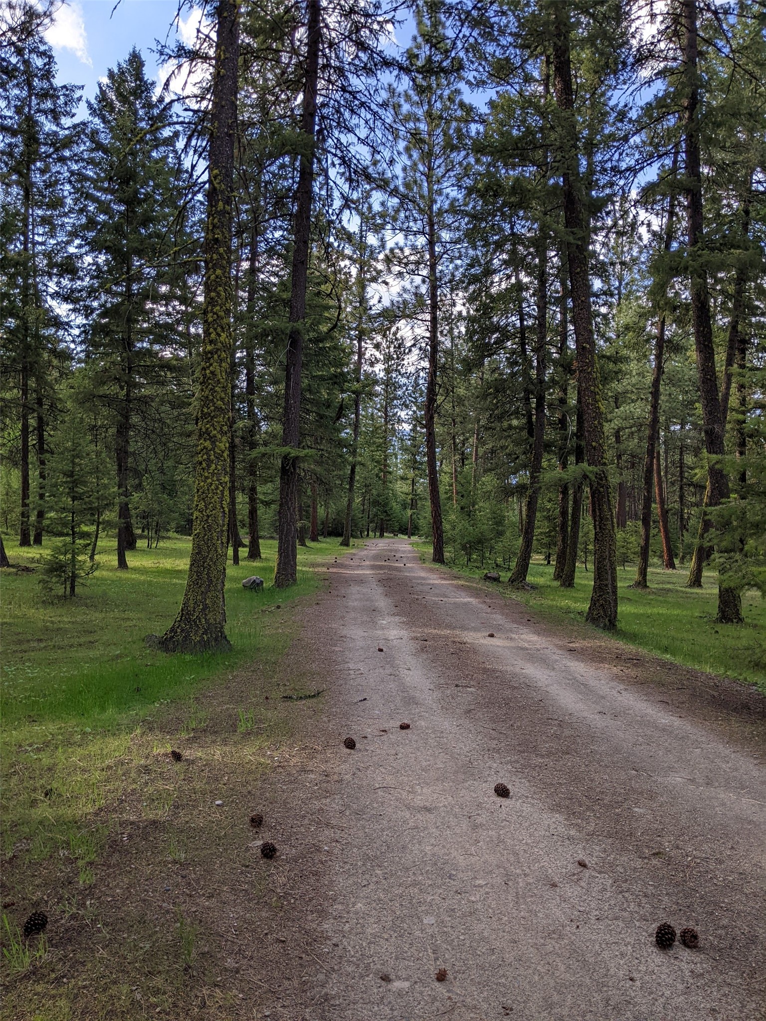 70 Mountain Road Property Photo 11