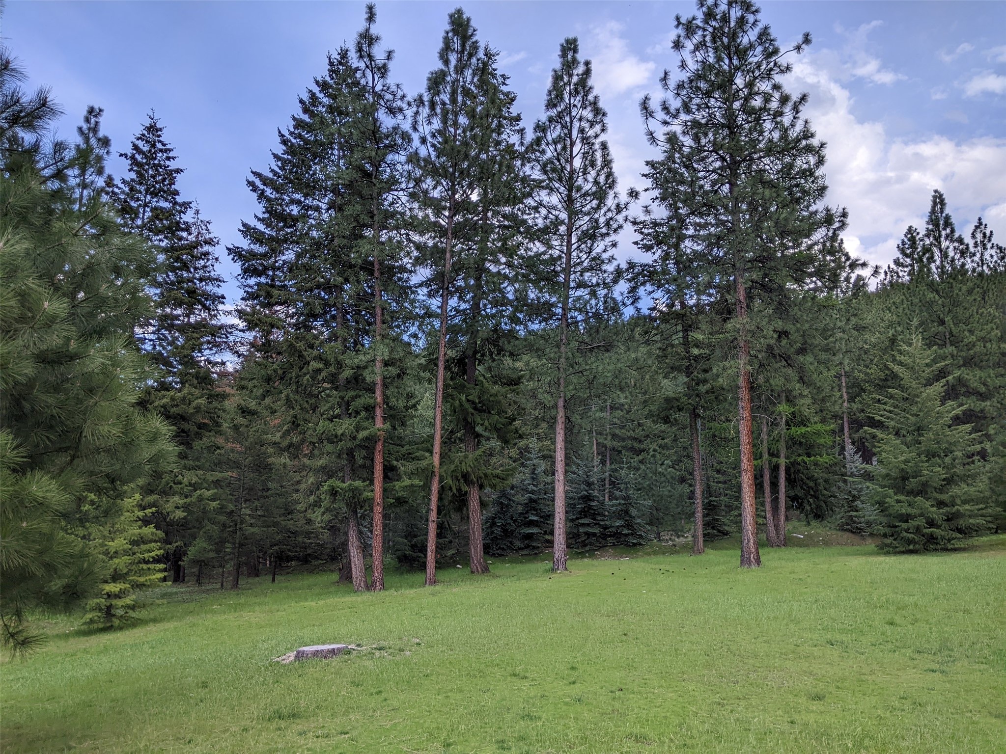 70 Mountain Road Property Photo 14