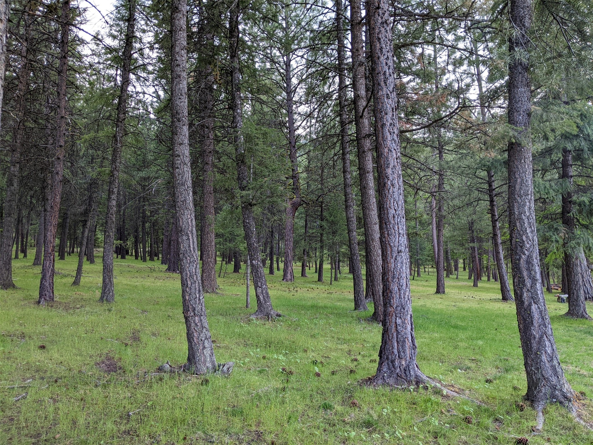 70 Mountain Road Property Photo 16