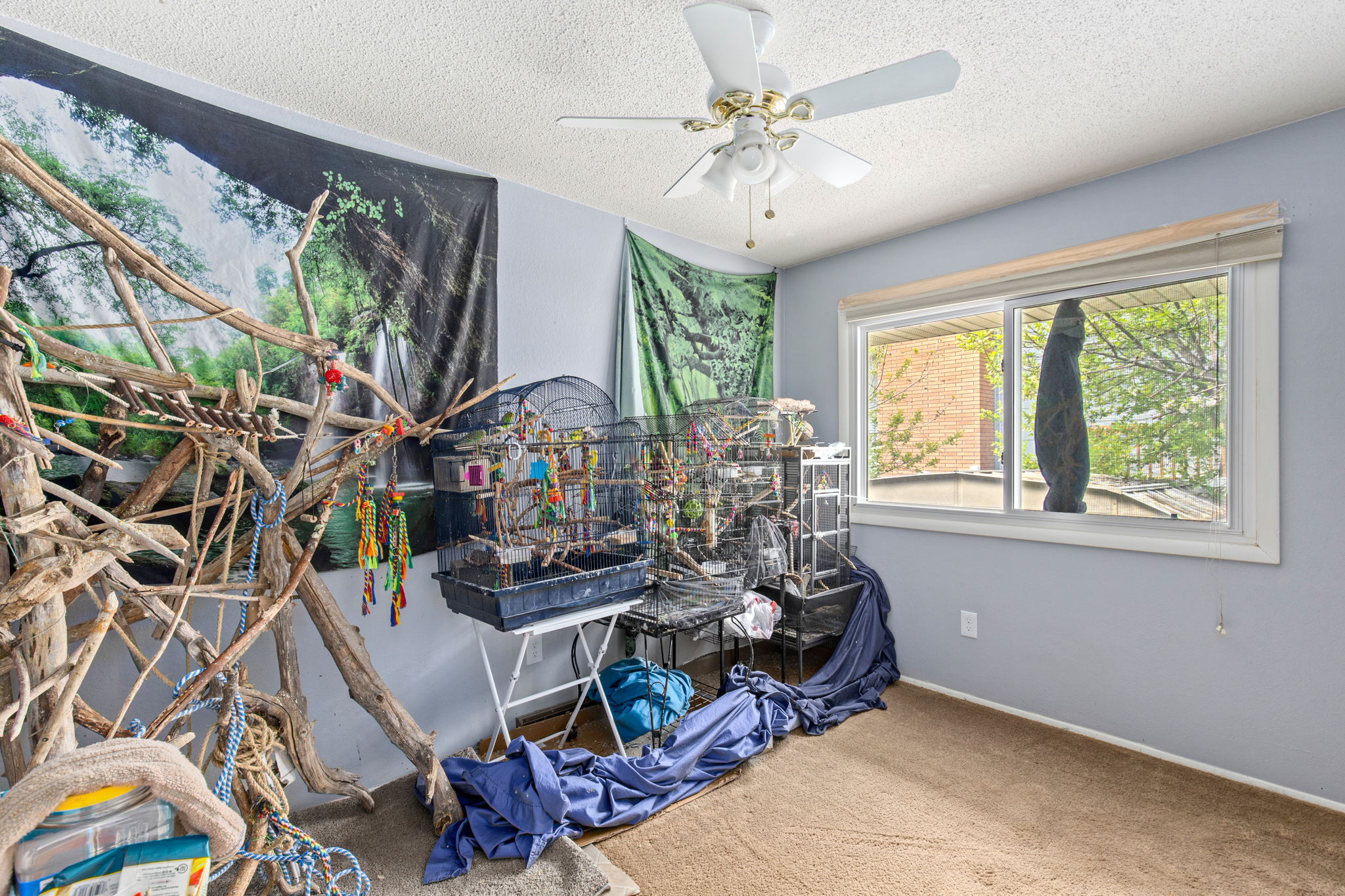 1205 Park Garden Road Property Photo 25
