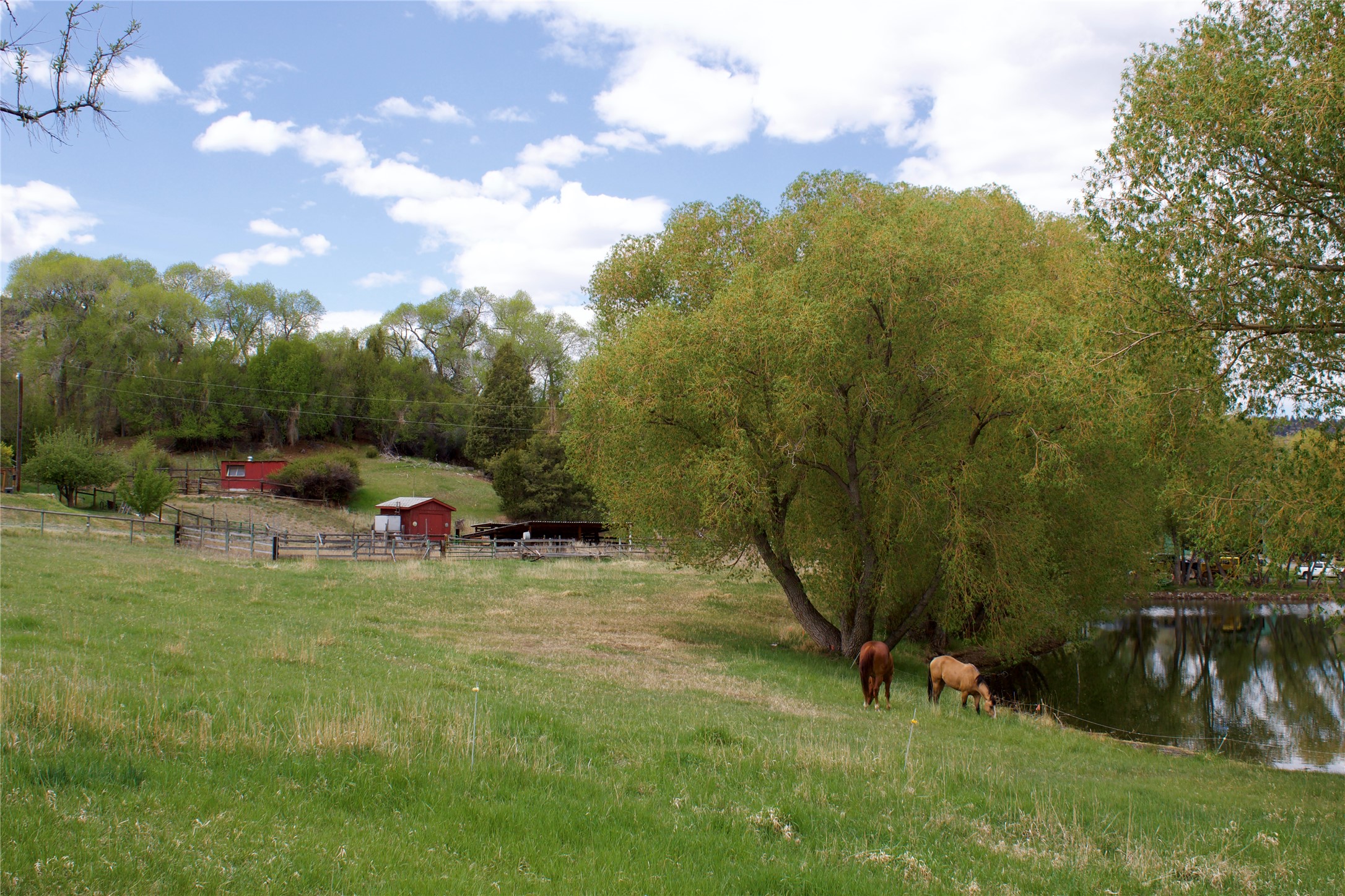 30070762 Property Photo 6