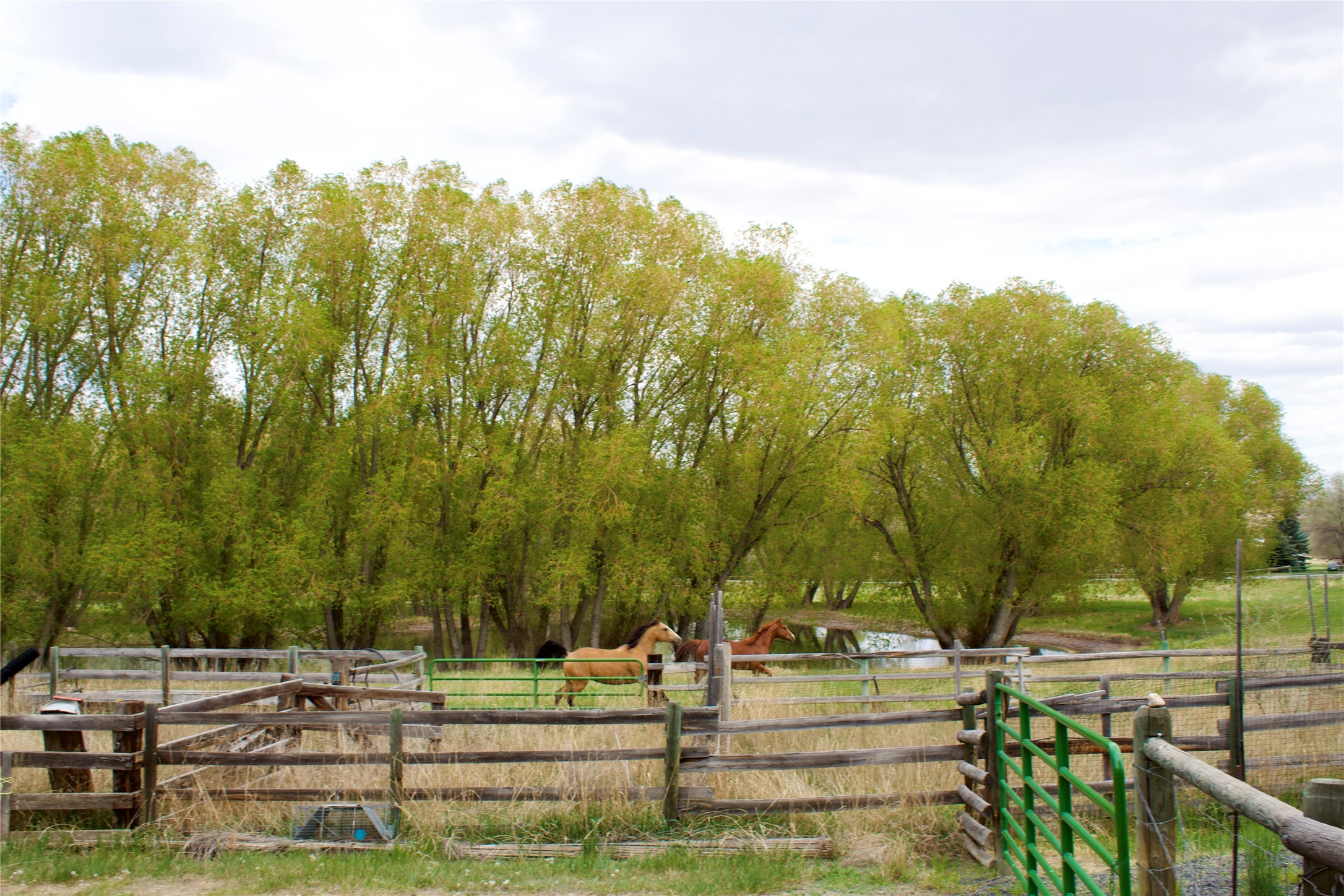 30070762 Property Photo 8