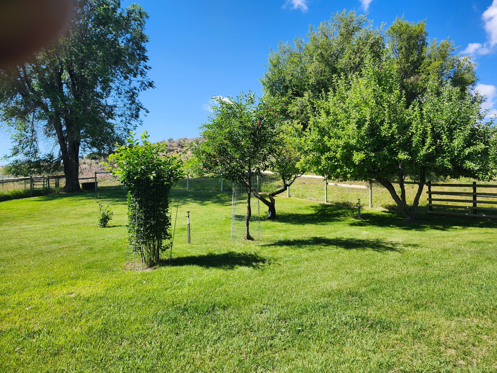 30070762 Property Photo 13