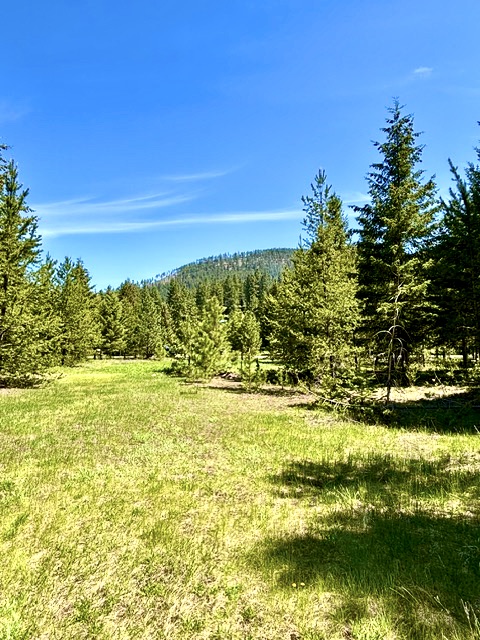 Lot 7 Fairview Drive Property Photo 6