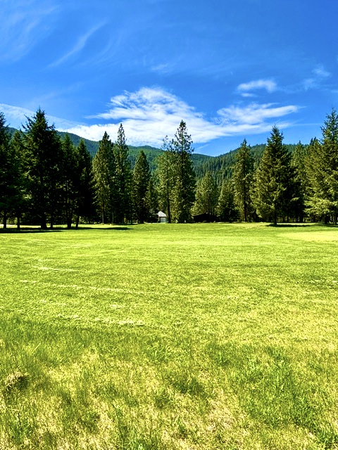 Lot 7 Fairview Drive Property Photo 7