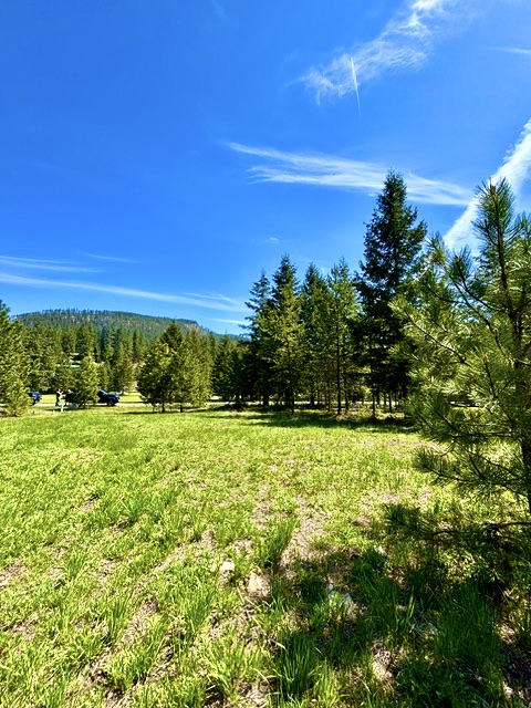 Lot 7 Fairview Drive Property Photo 10