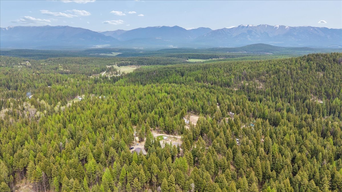 352 Whitetail Meadow Road Property Photo 47