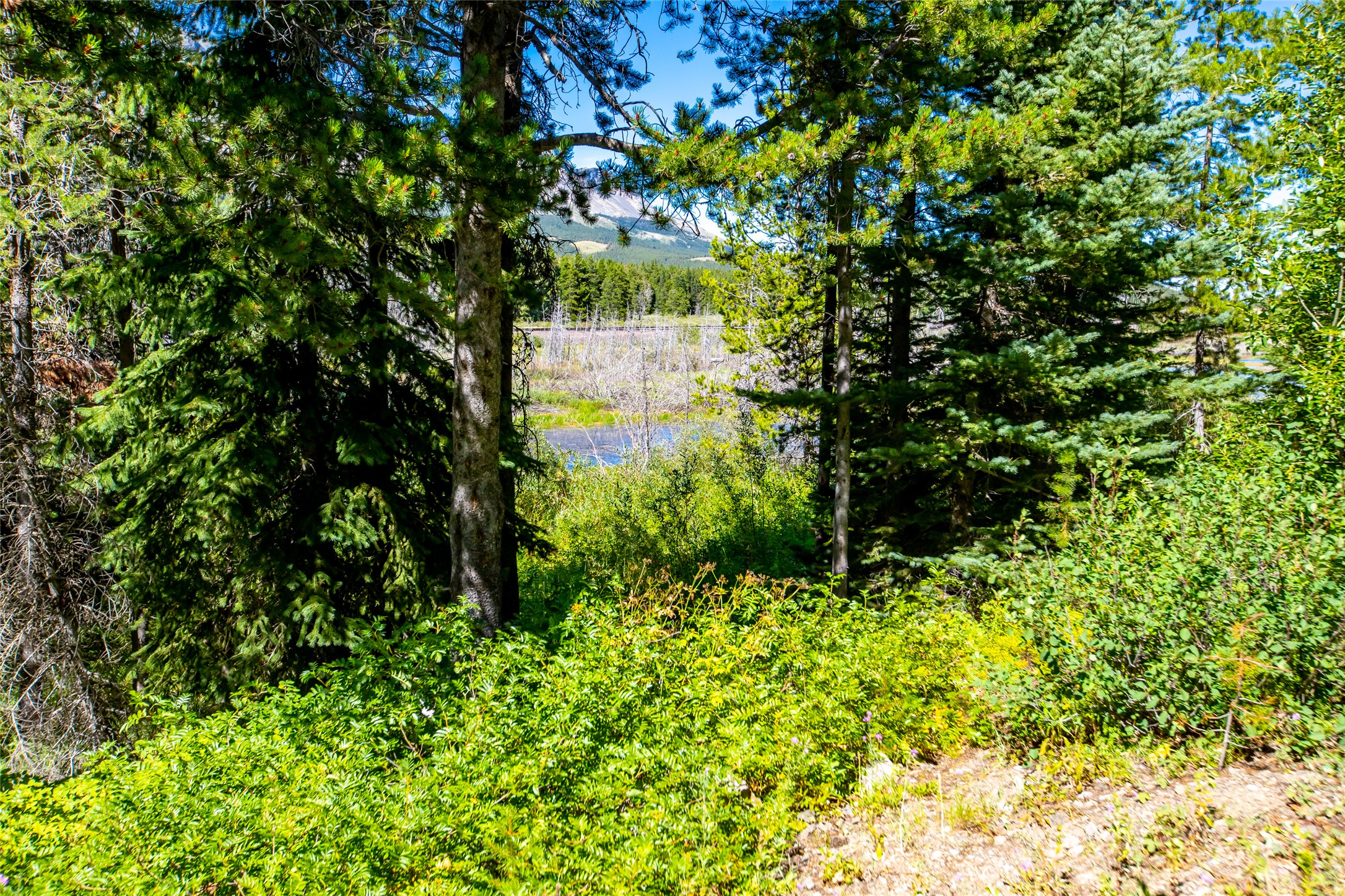 16900 Us Hwy 2 E Property Photo 16