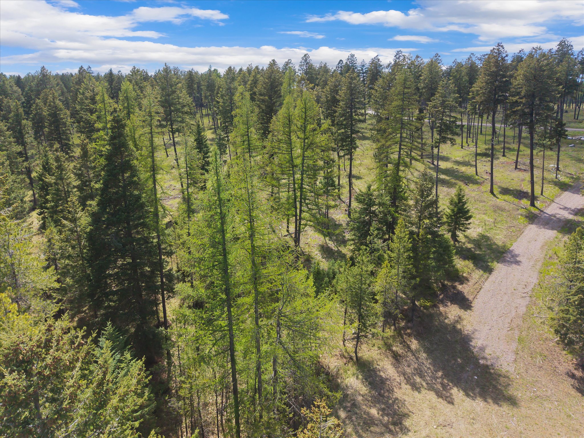245 Layton Road Property Photo 10