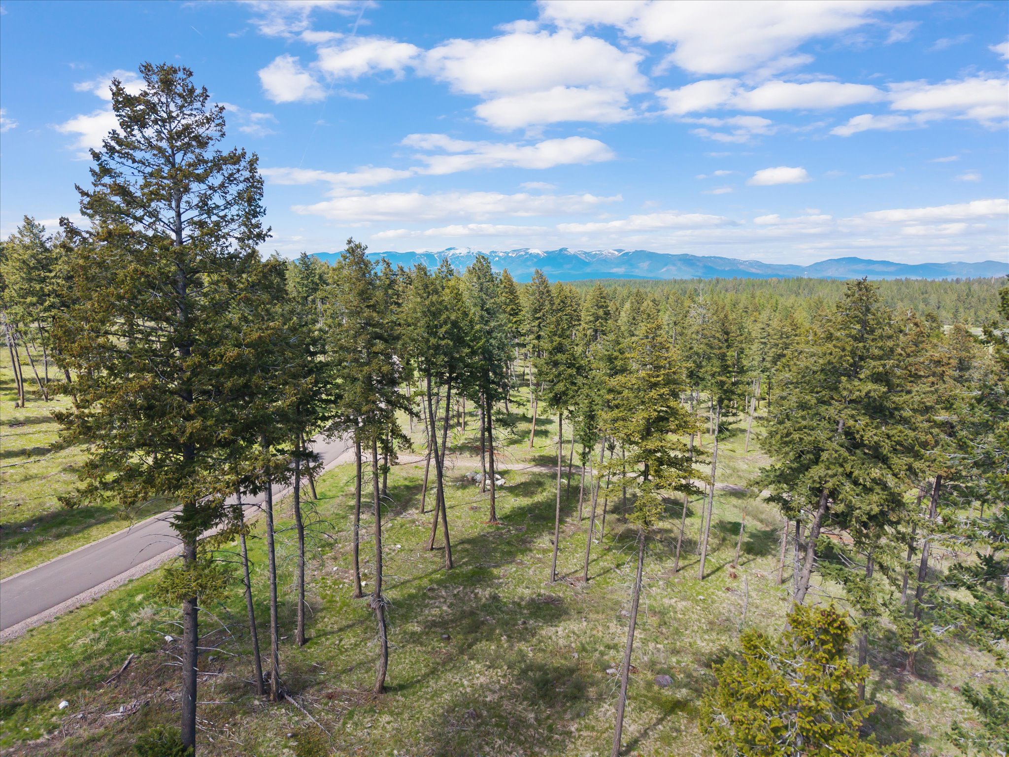 245 Layton Road Property Photo 14