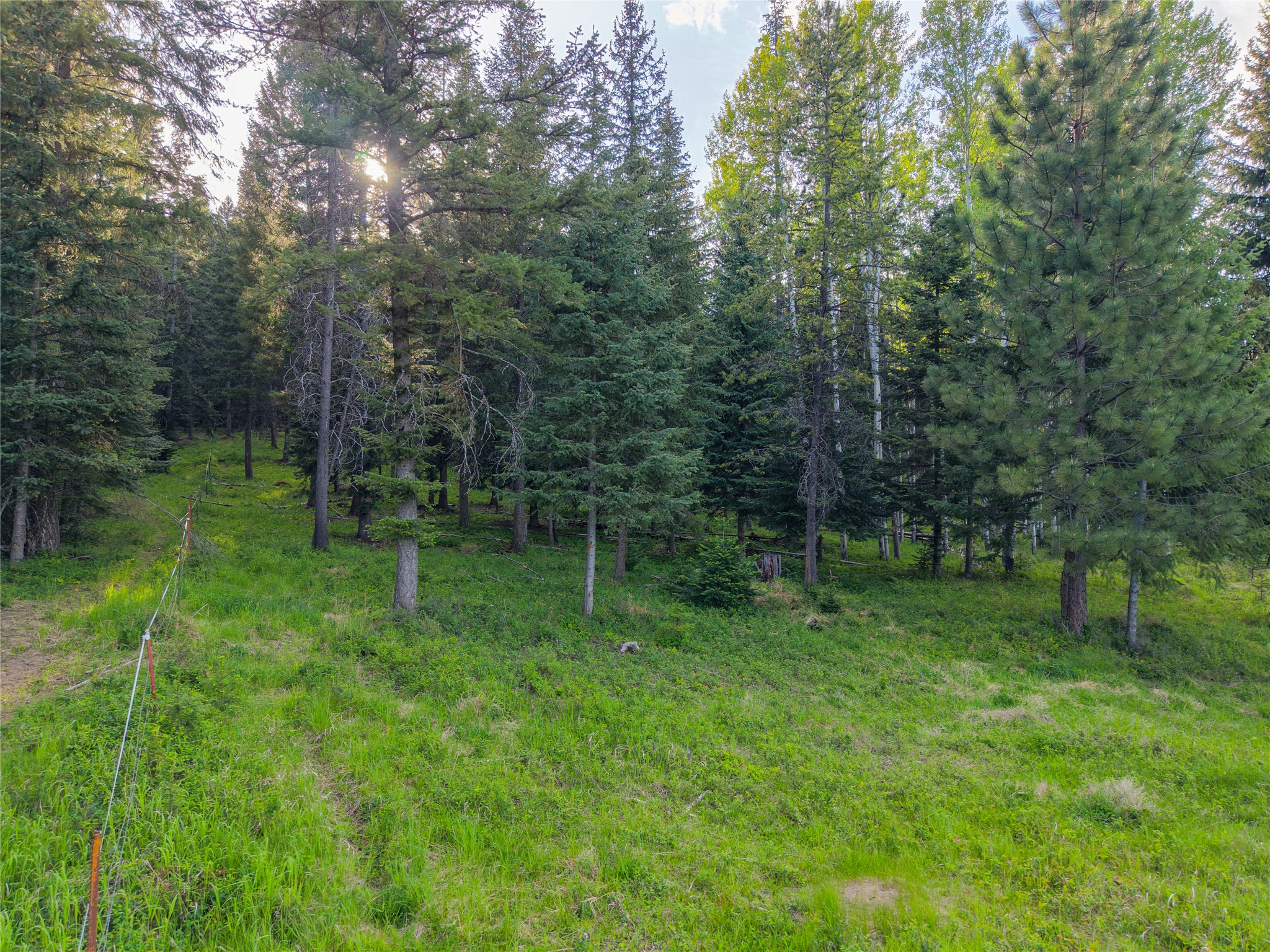 108 Bobtail Meadow Road Property Photo 103