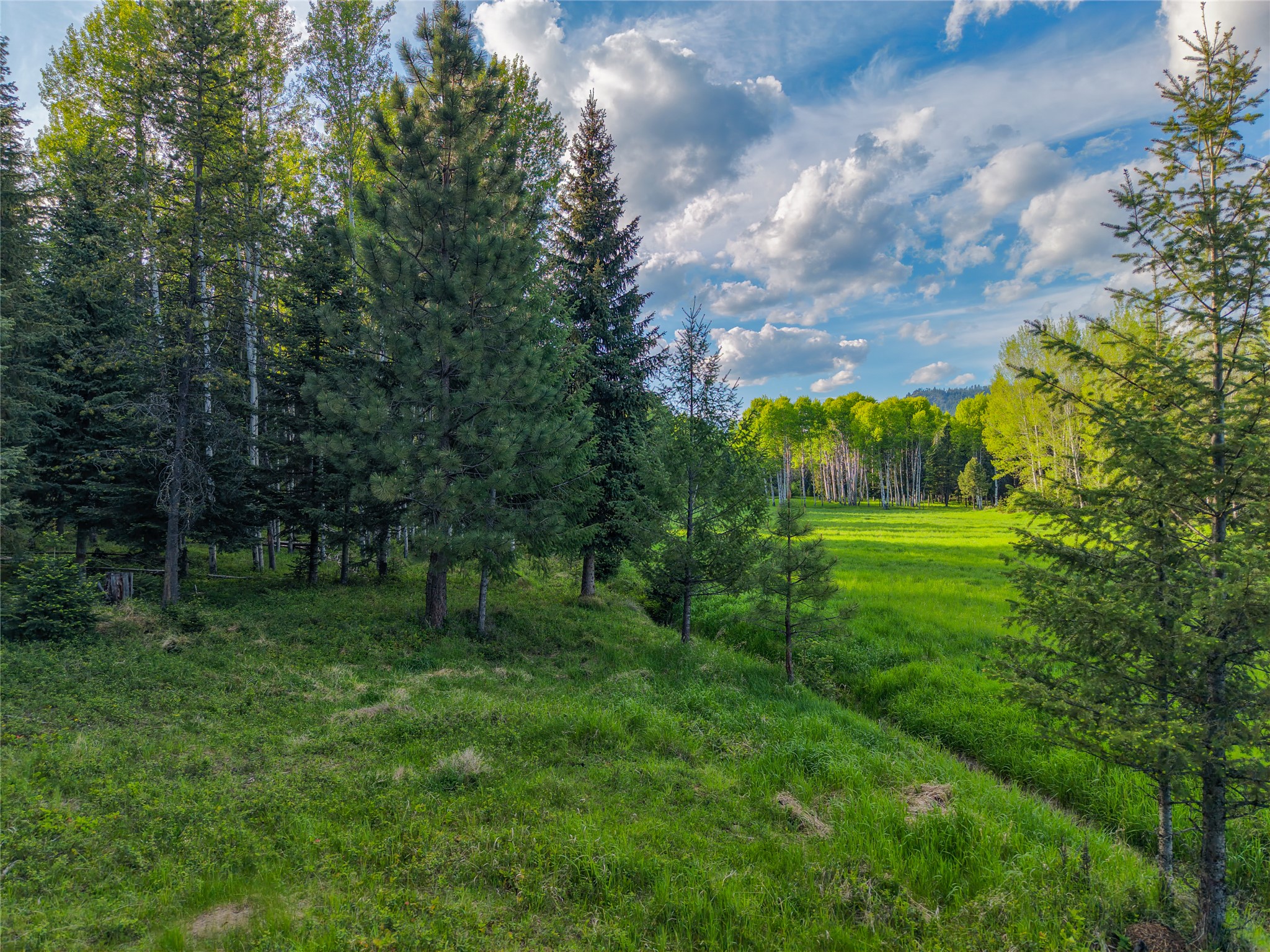 108 Bobtail Meadow Road Property Photo 105