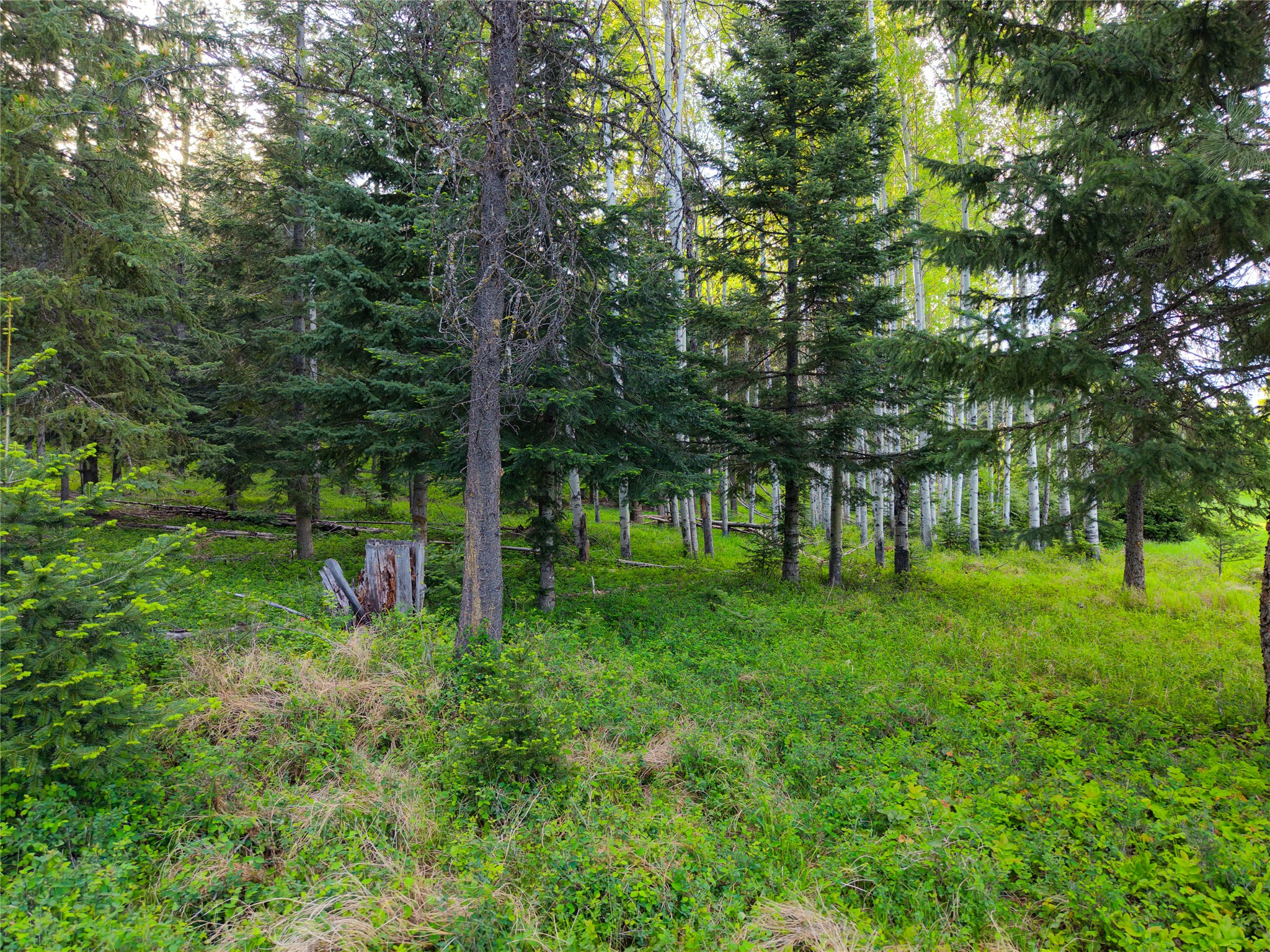 108 Bobtail Meadow Road Property Photo 106