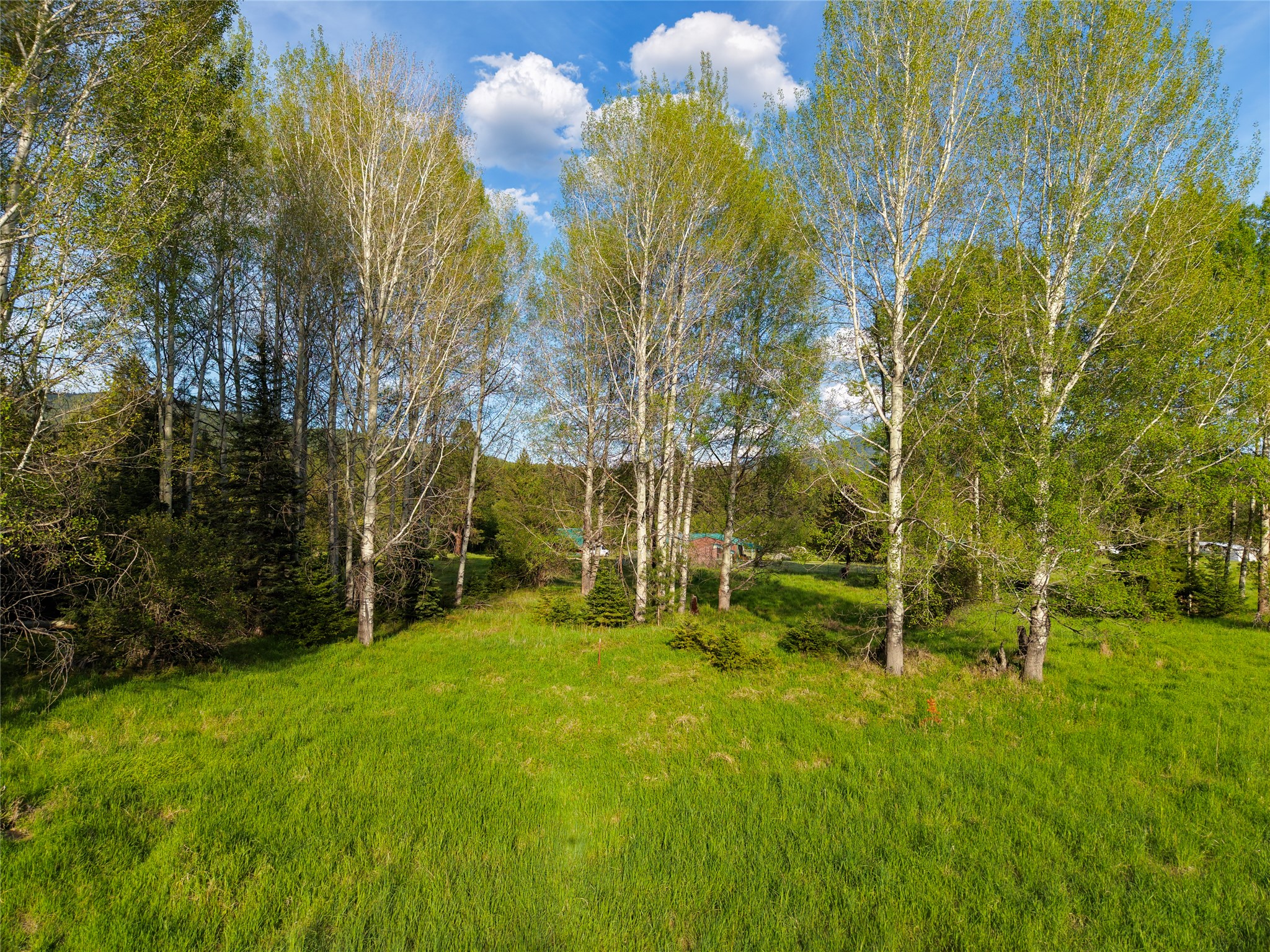 108 Bobtail Meadow Road Property Photo 110