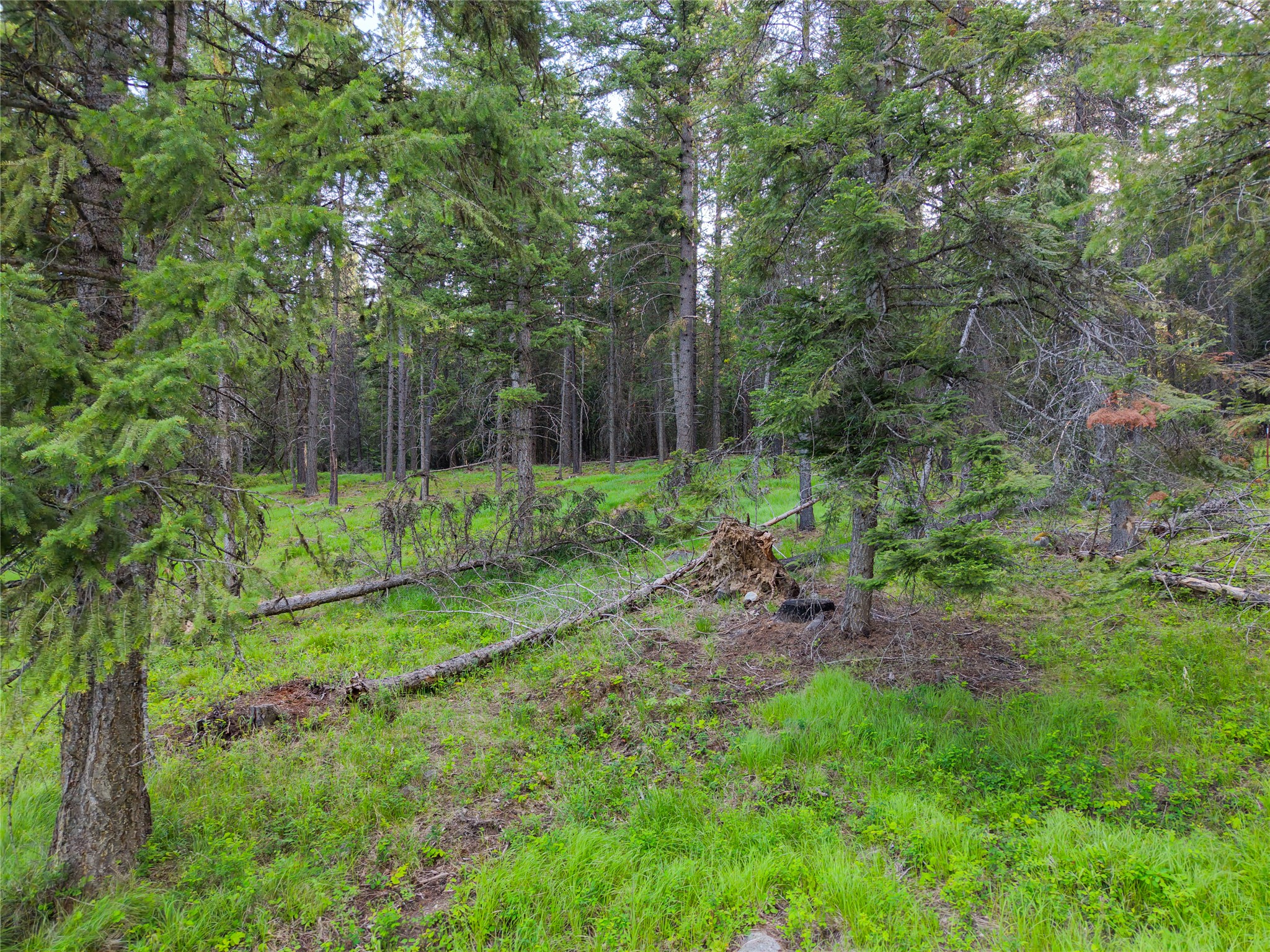 108 Bobtail Meadow Road Property Photo 112