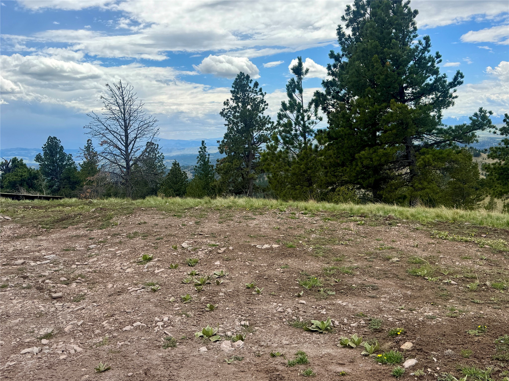 206 Upper Sawmill Loop Property Photo 2