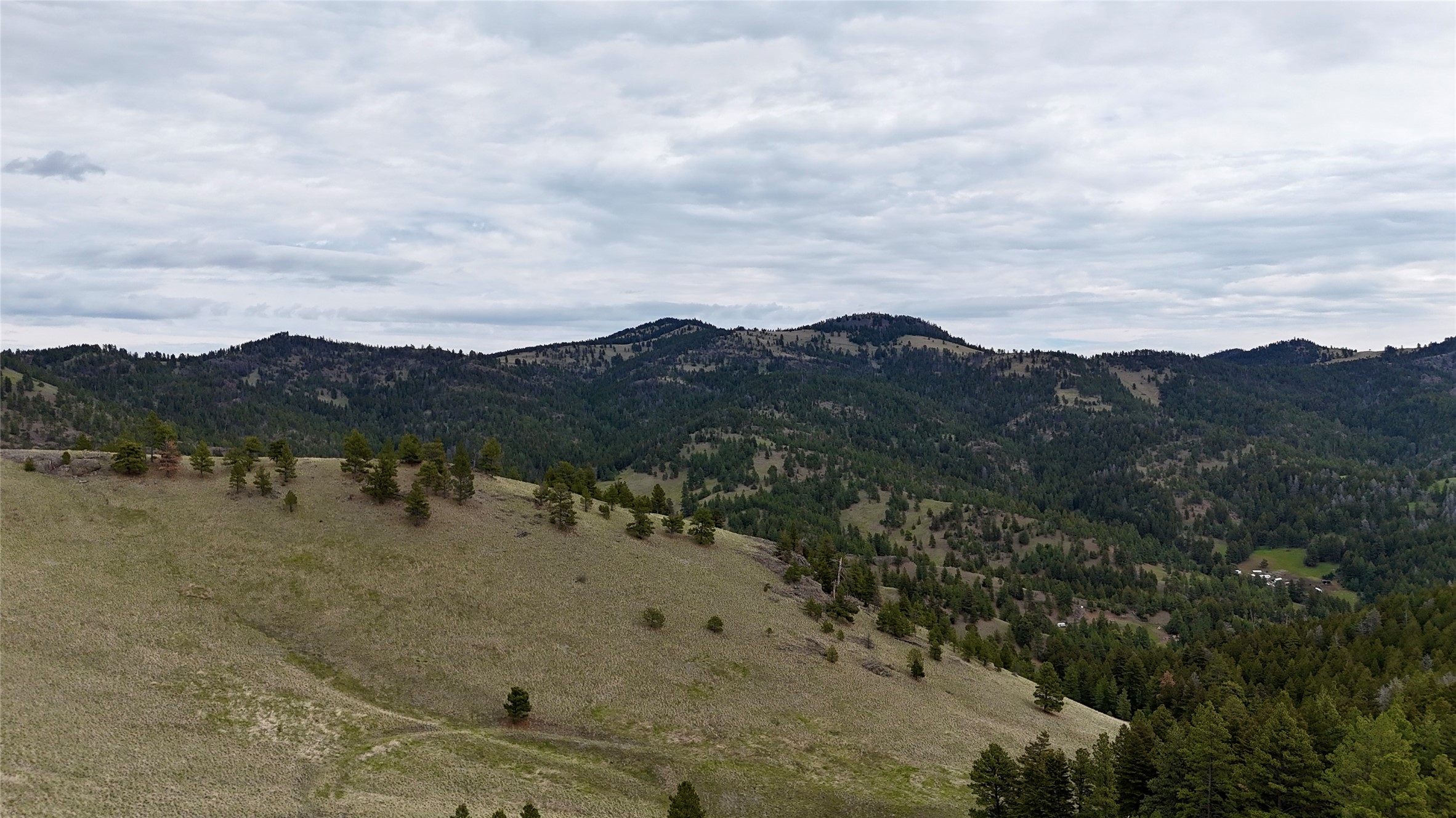 206 Upper Sawmill Loop Property Photo 5