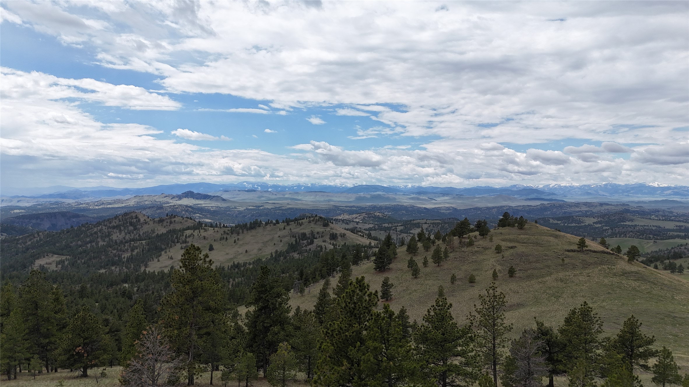 206 Upper Sawmill Loop Property Photo 7
