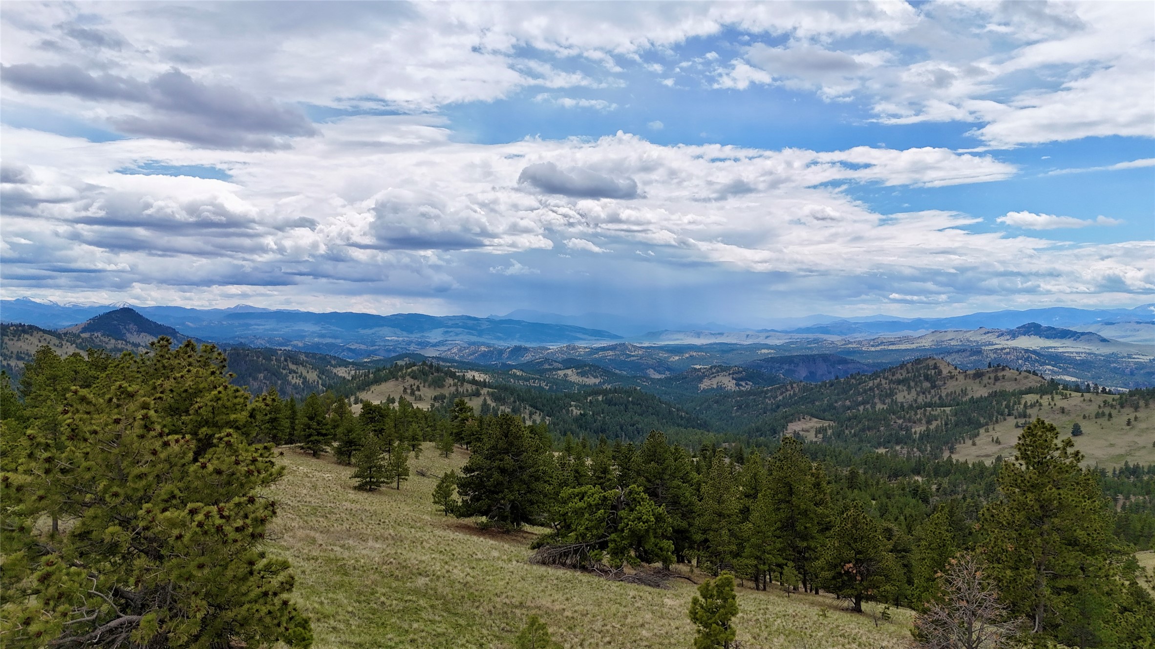 206 Upper Sawmill Loop Property Photo 8