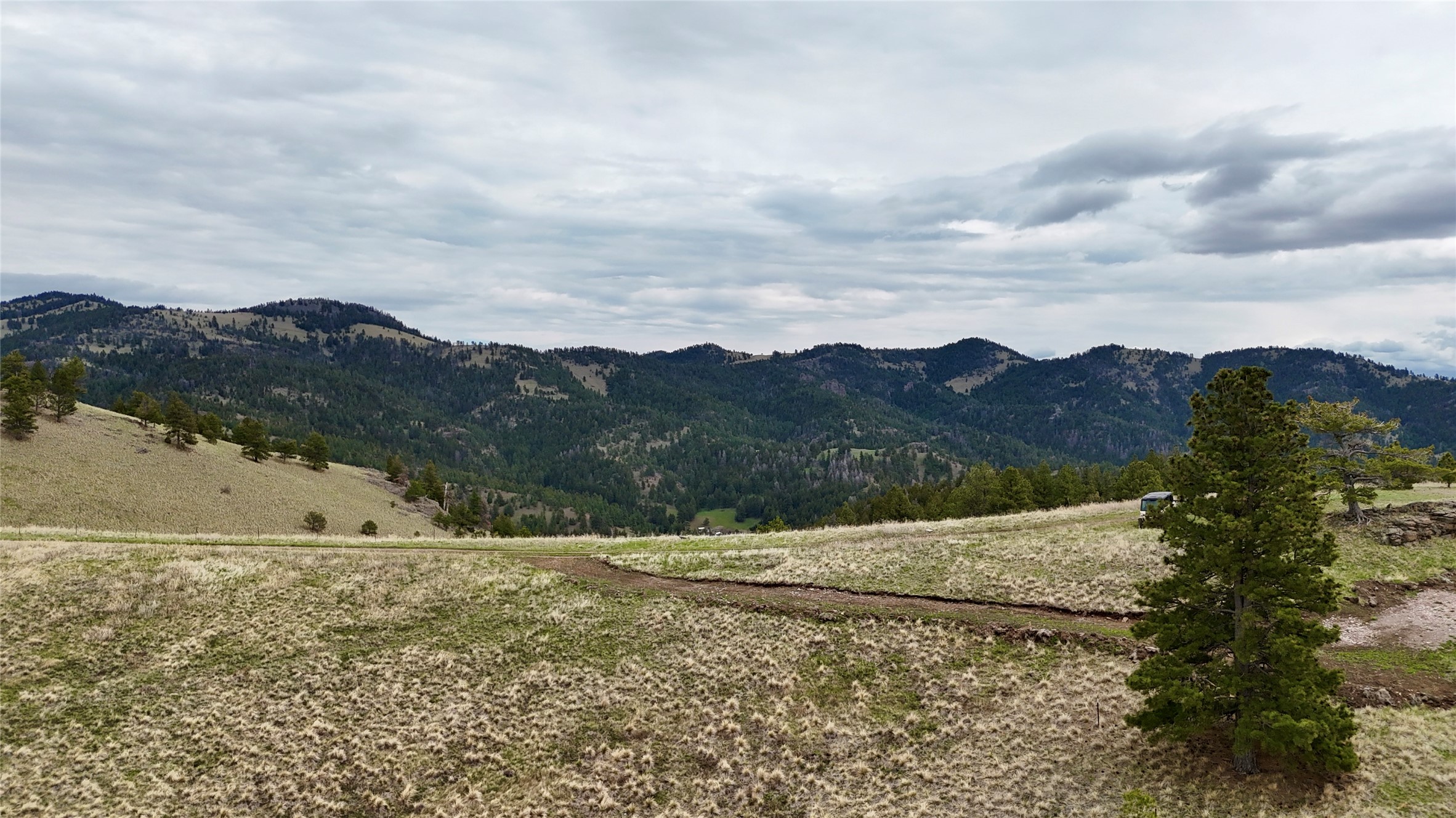 206 Upper Sawmill Loop Property Photo 15