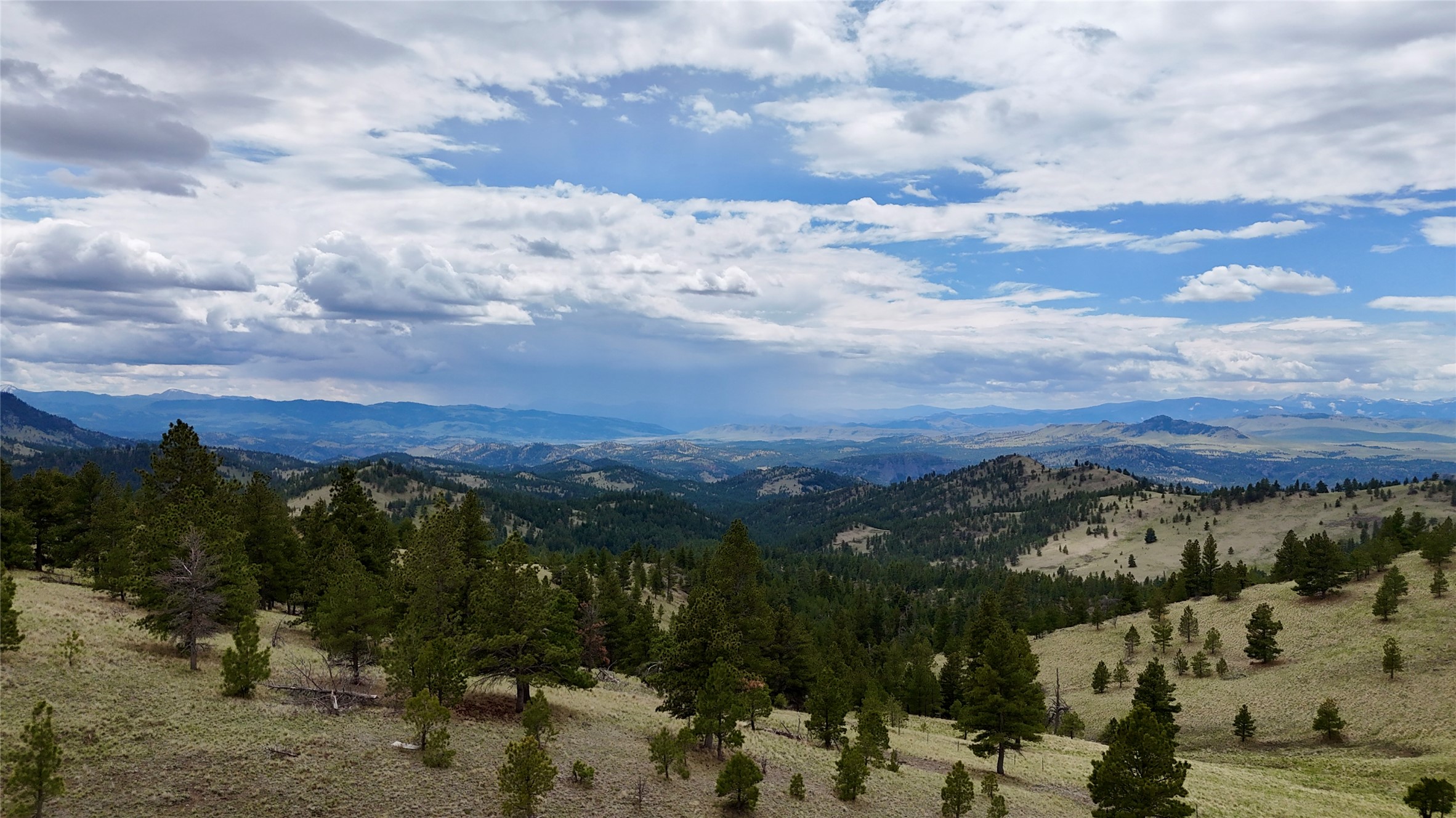 206 Upper Sawmill Loop Property Photo 18