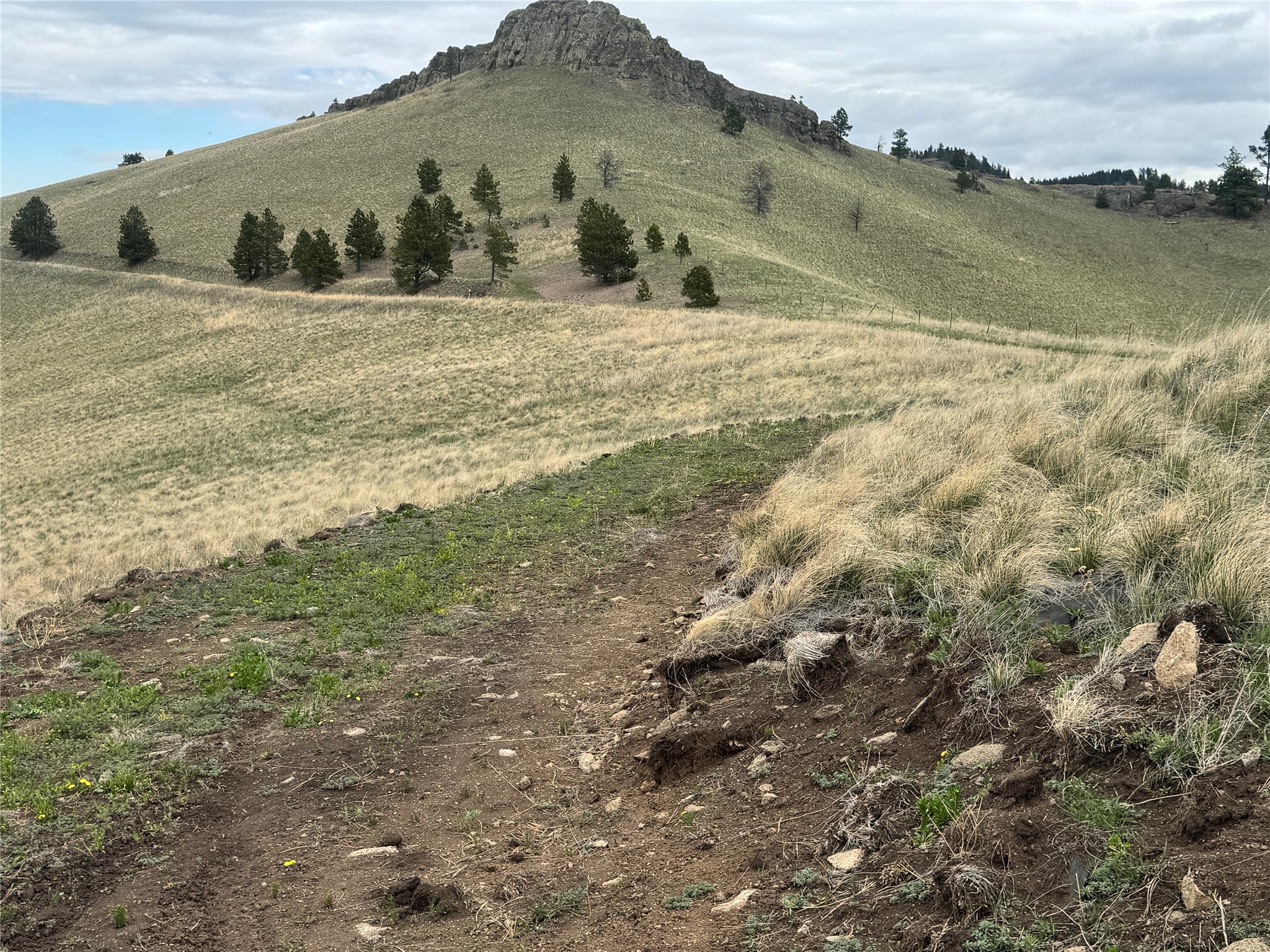 206 Upper Sawmill Loop Property Photo 27