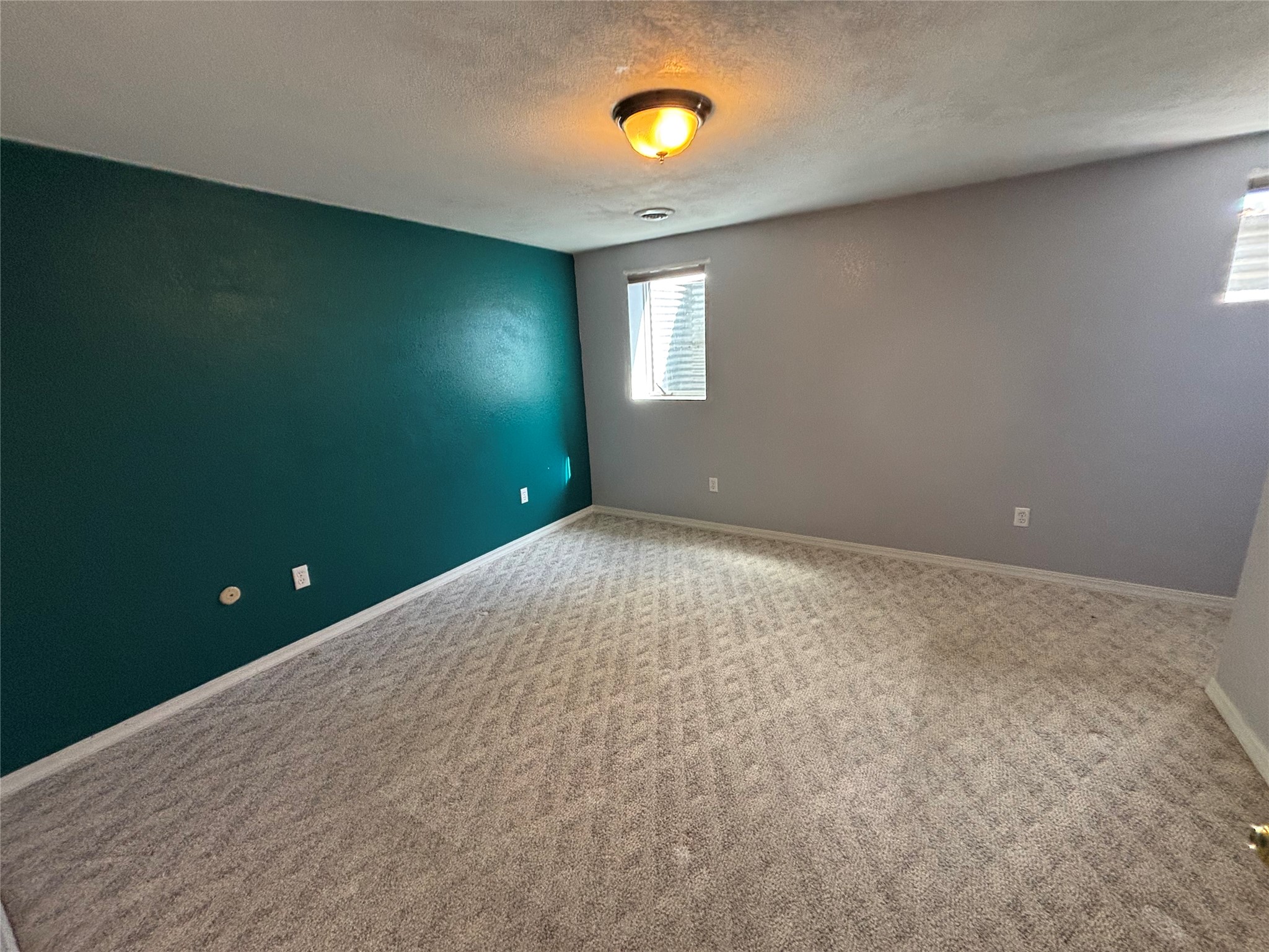 1 Burning Tree Lane Property Photo 33