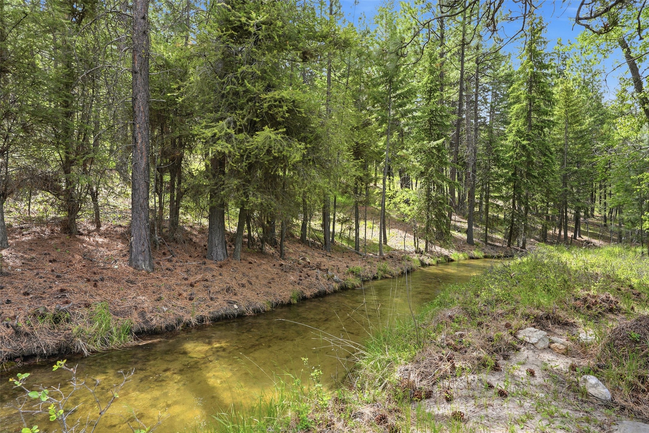 3603 Moose Meadow Lane Property Photo 36