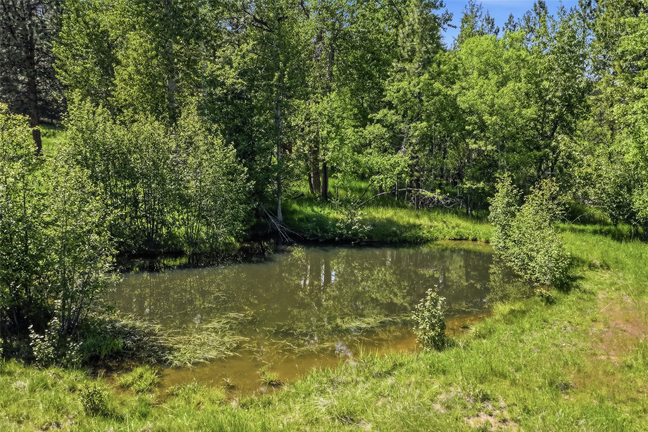 3603 Moose Meadow Lane Property Photo 45