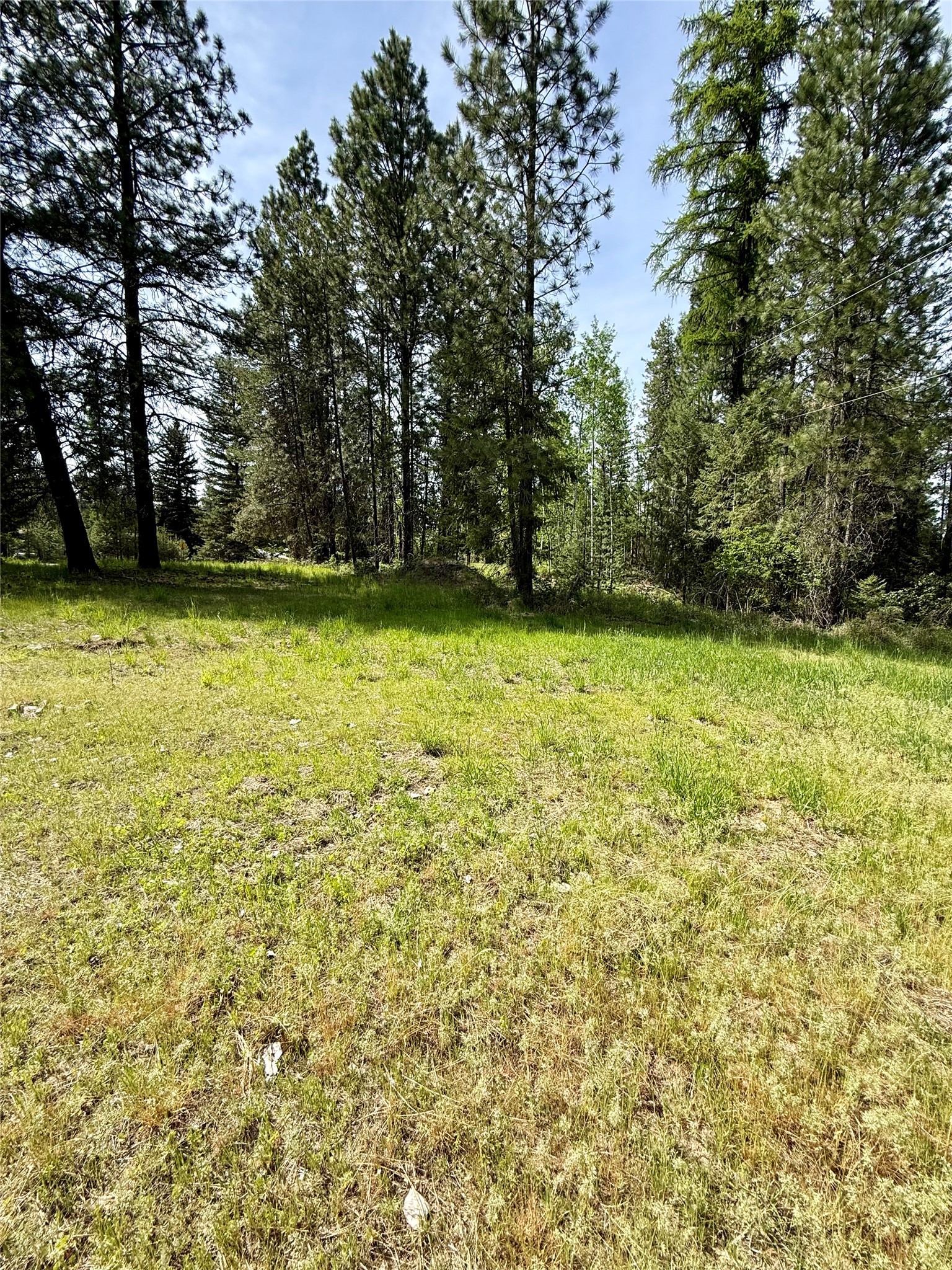 7 Old Cottonwood Lane Property Photo 17