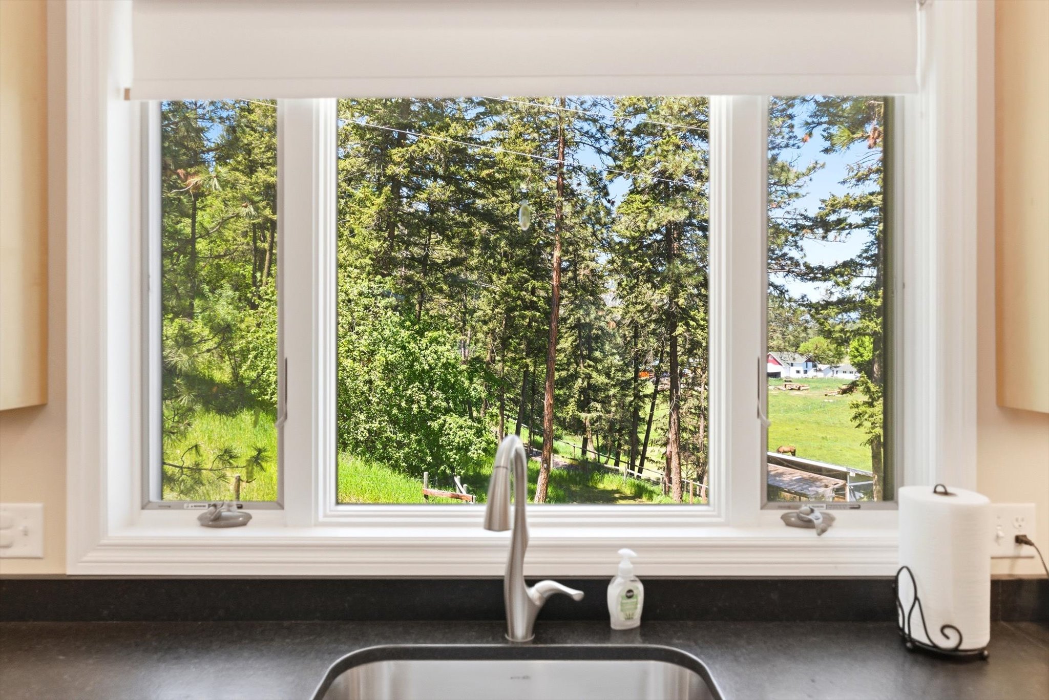 12505 Flora Drive Property Photo 13