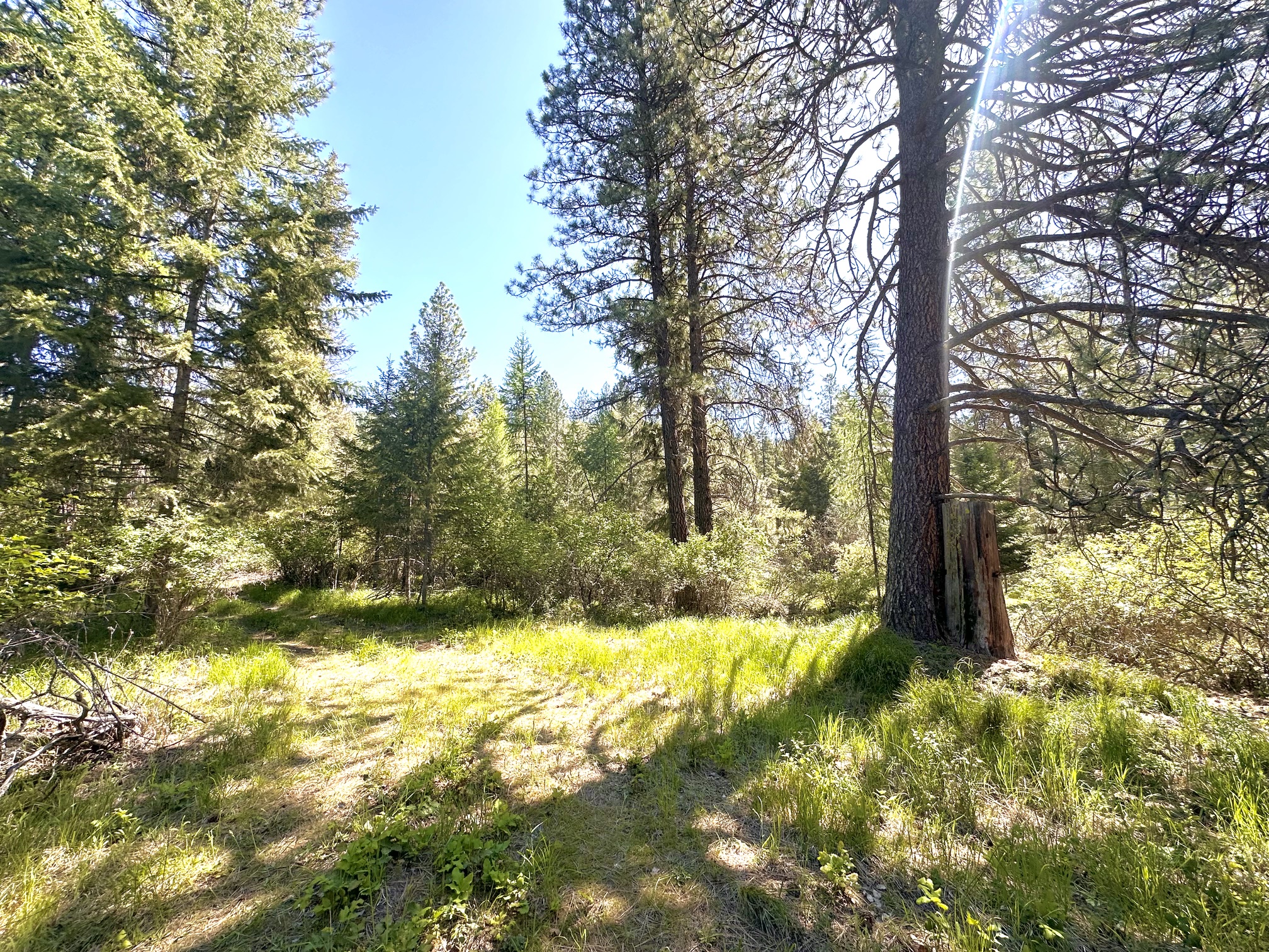 Nhn Humble Lane Property Photo 11