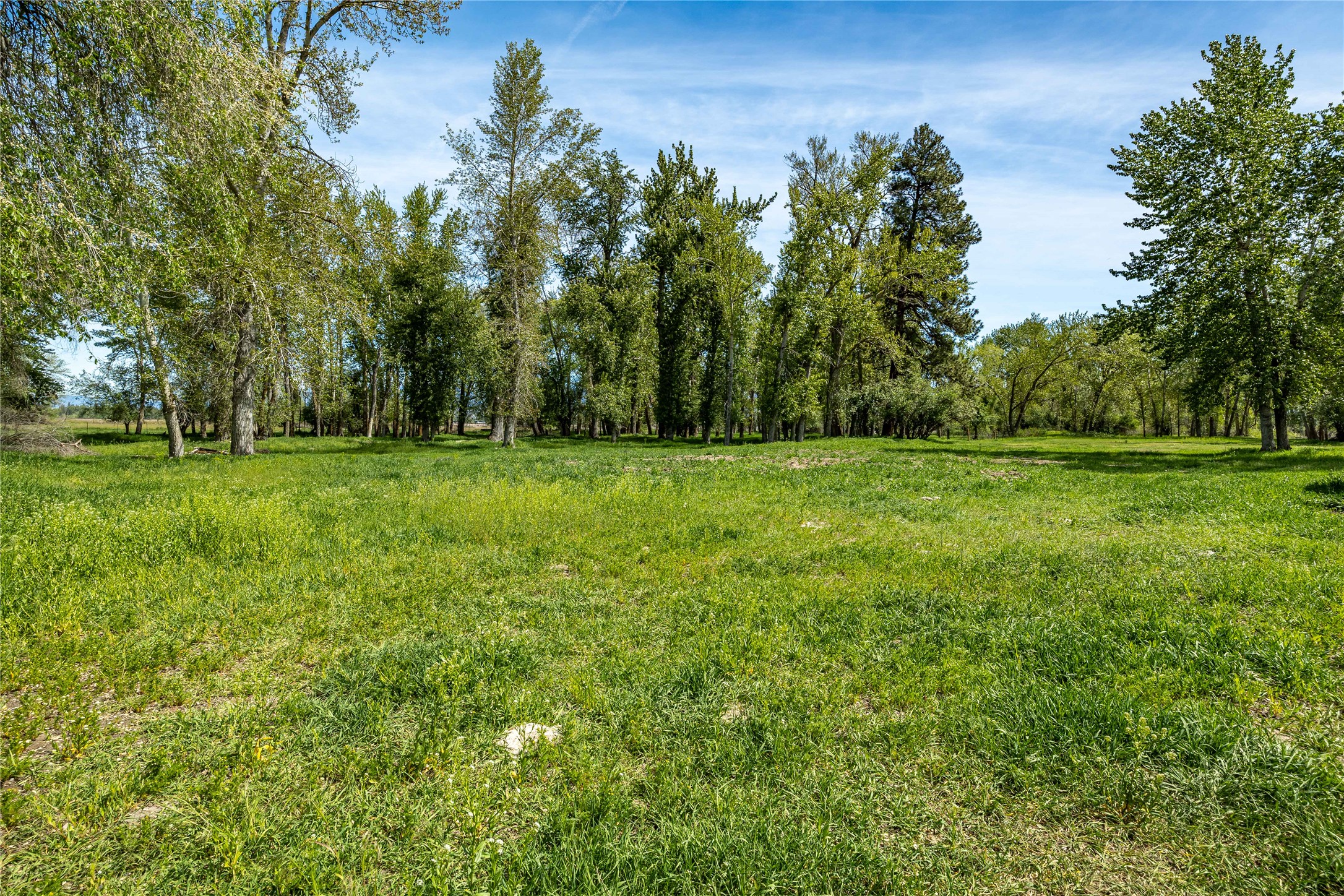 4700 Us Highway 93 S Property Photo 6