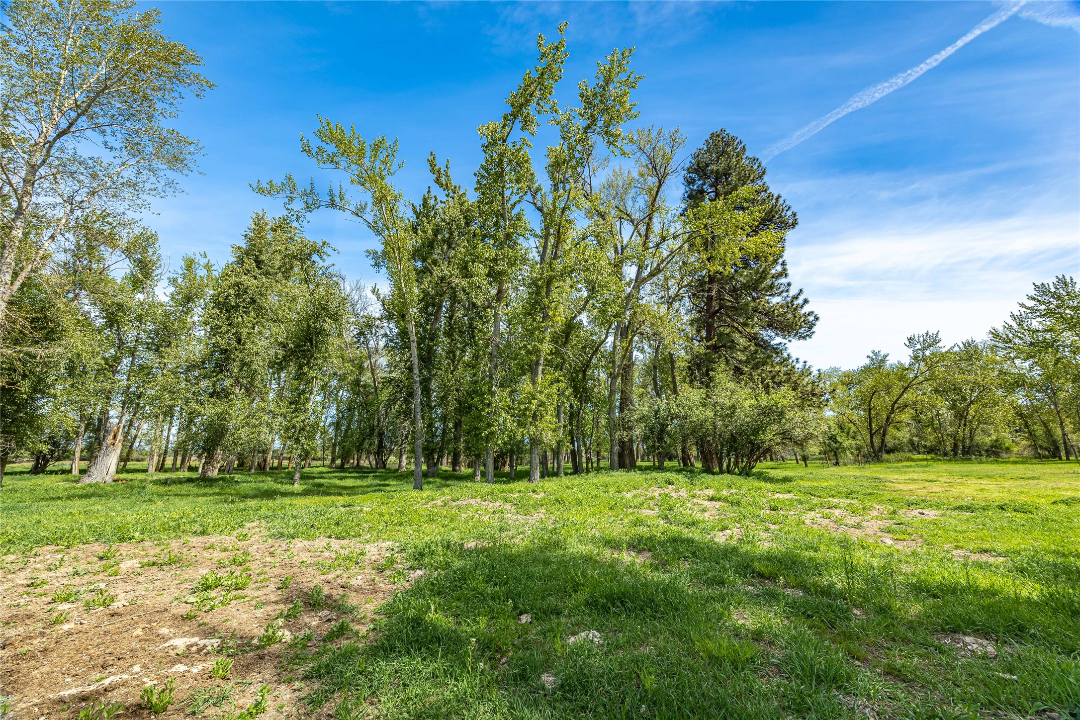 4700 Us Highway 93 S Property Photo 17