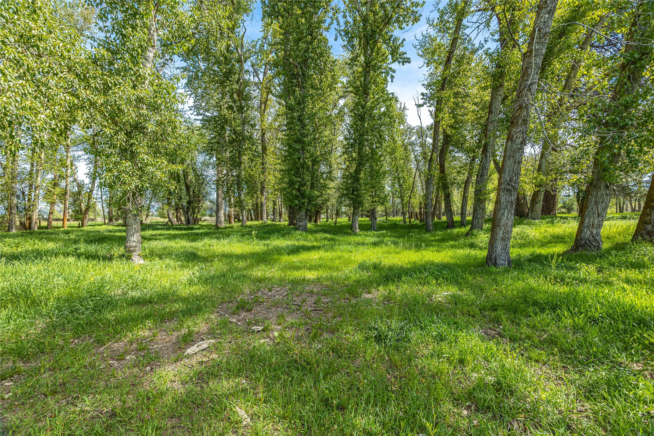 4700 Us Highway 93 S Property Photo 18